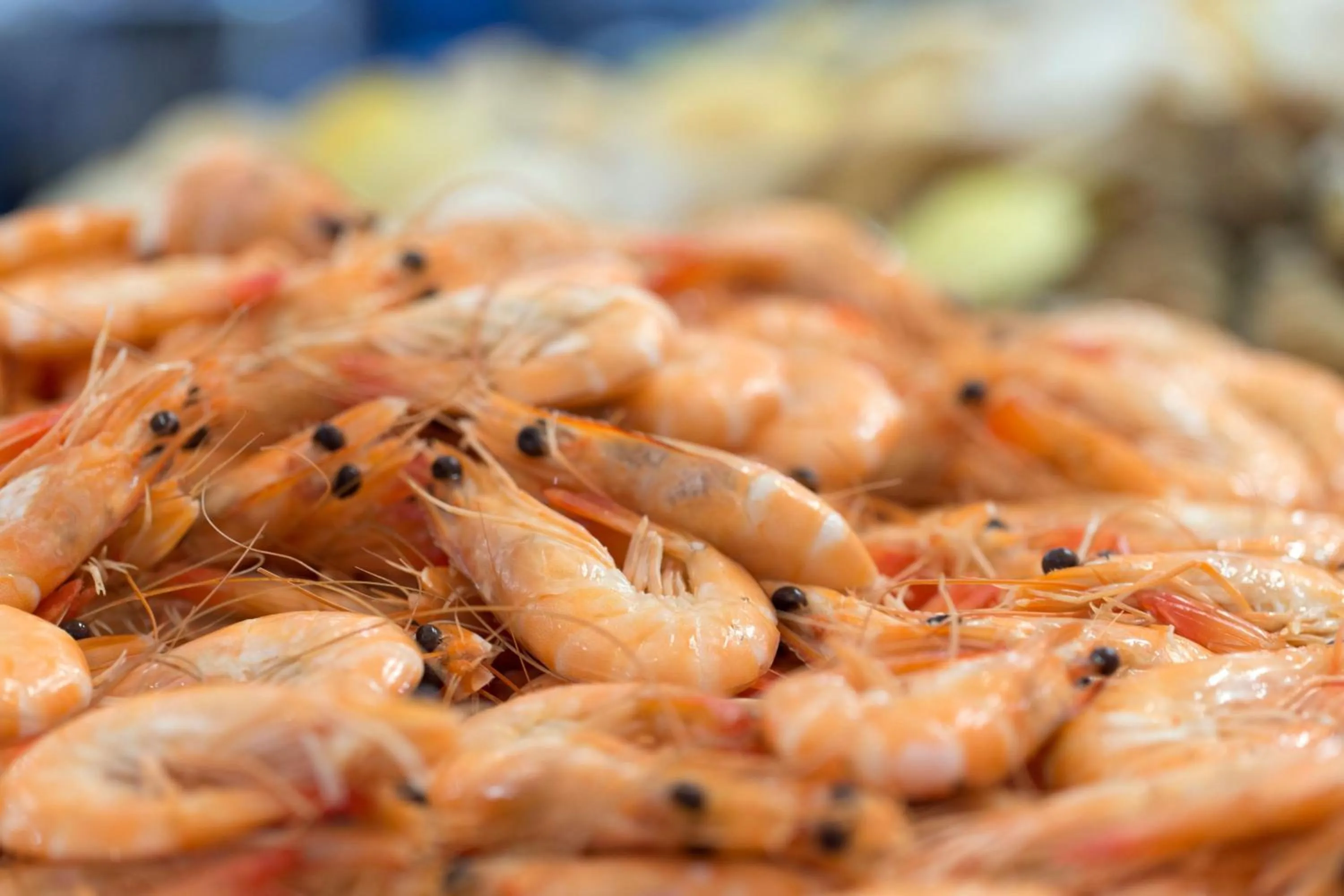 Restaurant/places to eat in Le Méridien Nouméa Resort & Spa