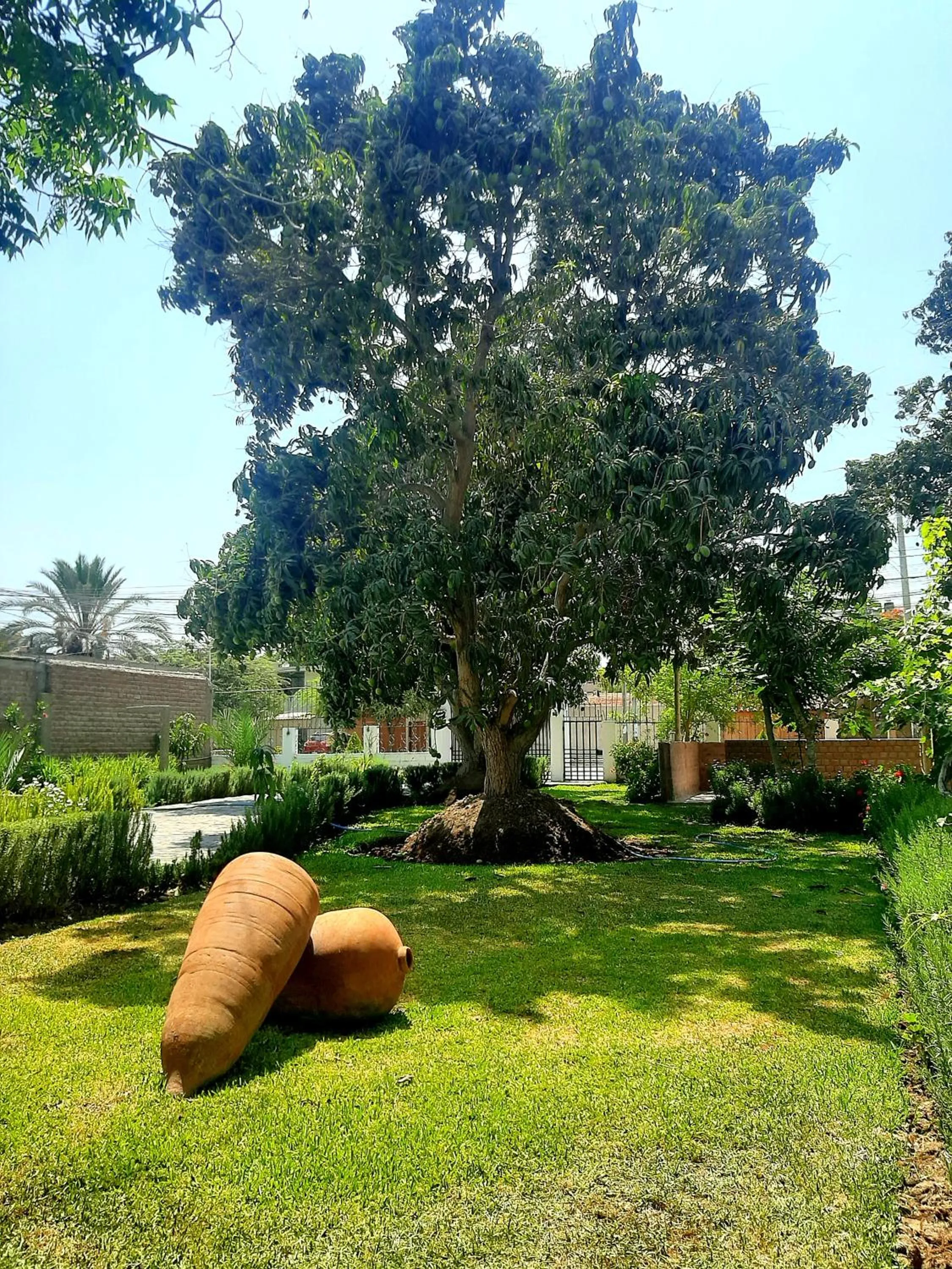 Casa Montemira