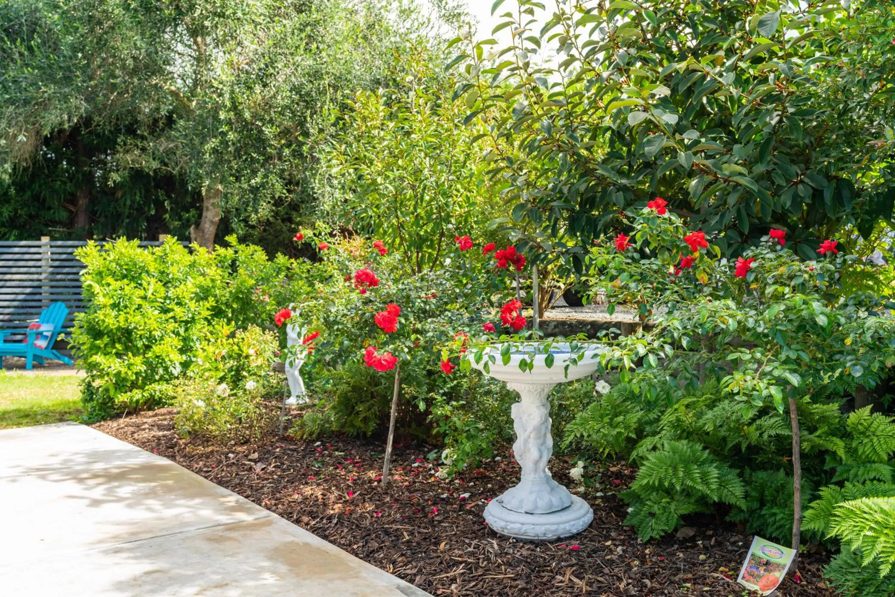 Garden in Glenbervie Bed & Breakfast