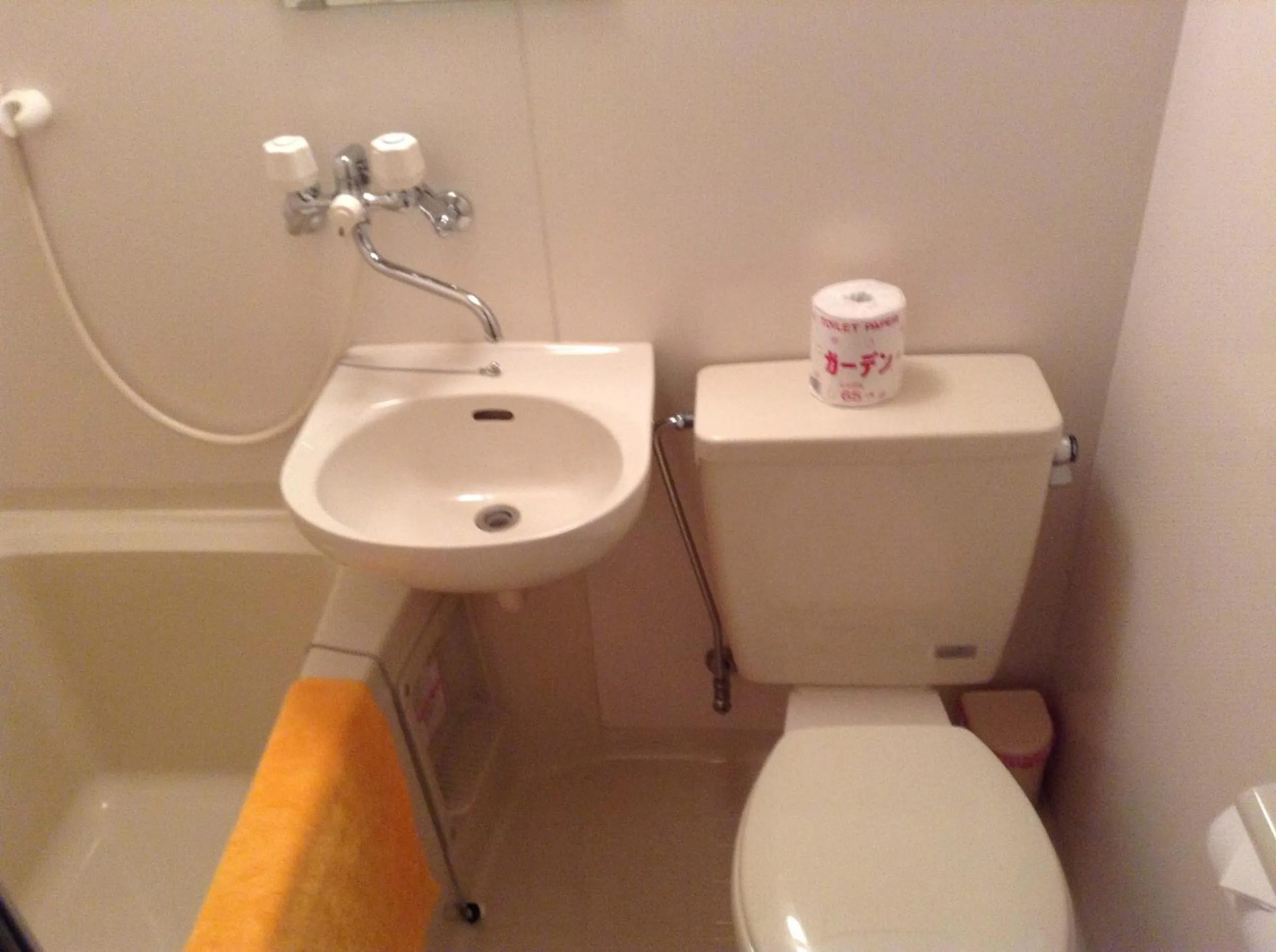 Bathroom in Hakuba Alpine Hotel