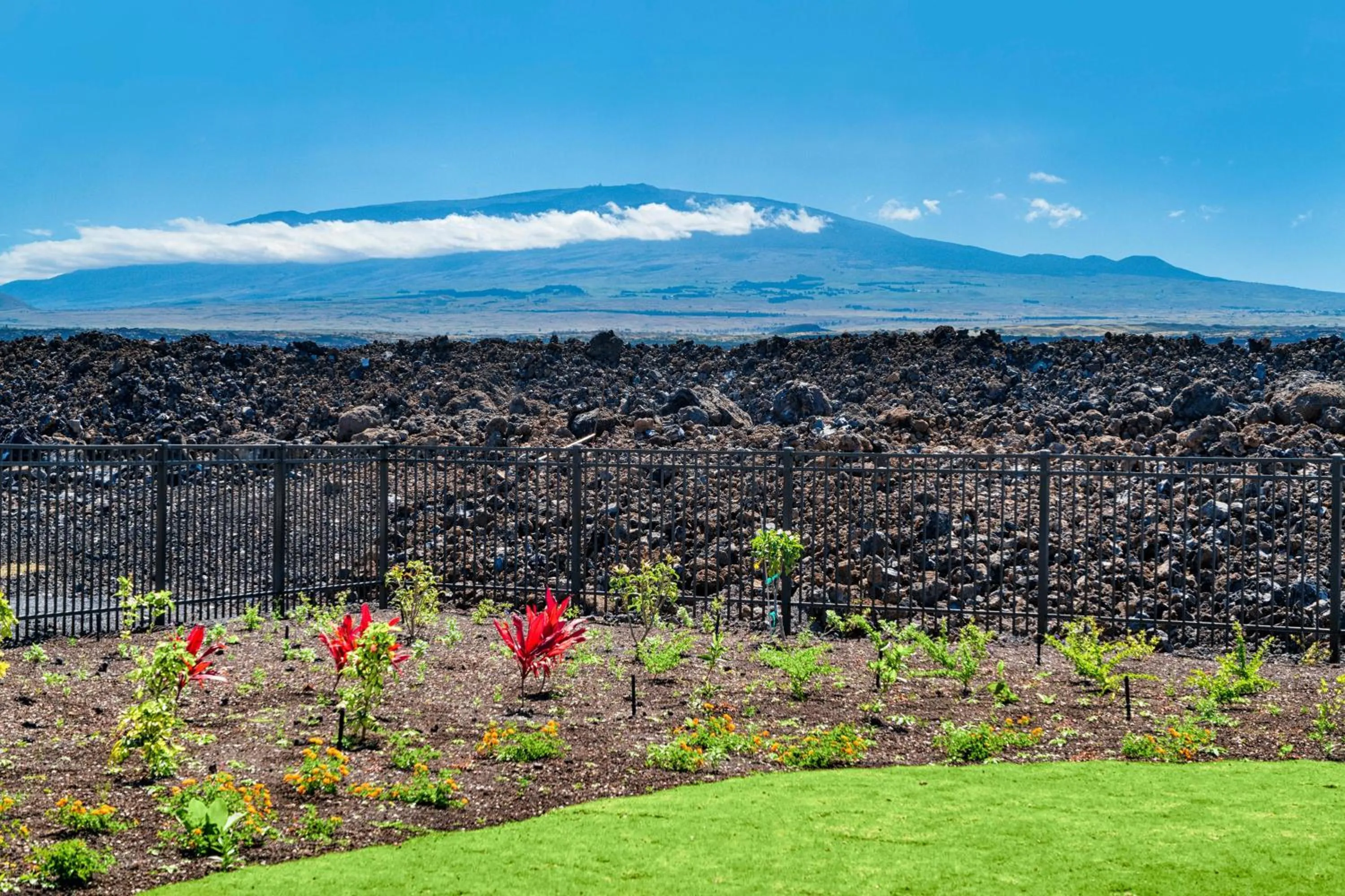 Ainamalu at Waikoloa Beach Resort