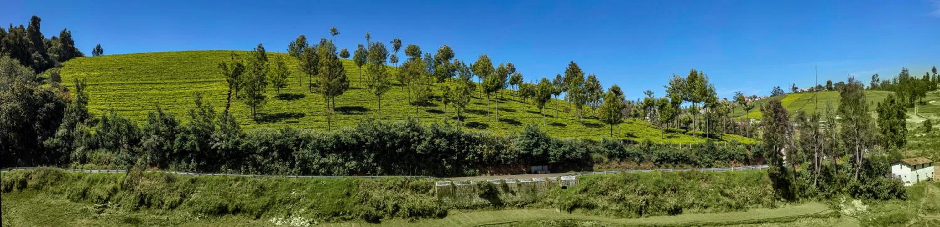 View (from property/room) in Club Mahindra Danish Villa, Ooty