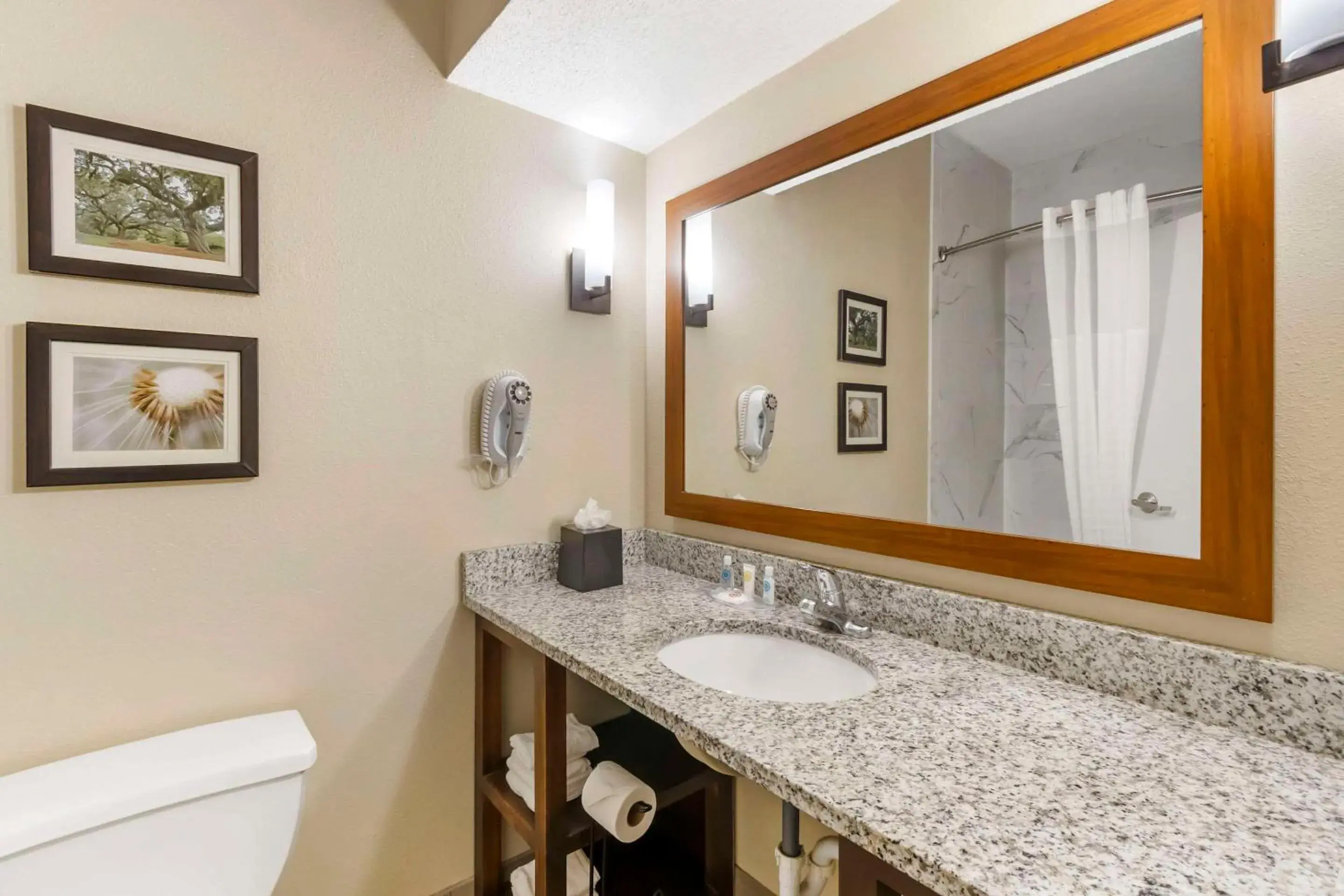 Bedroom in Comfort Suites At the University Bedroom in Comfort Suites At the University