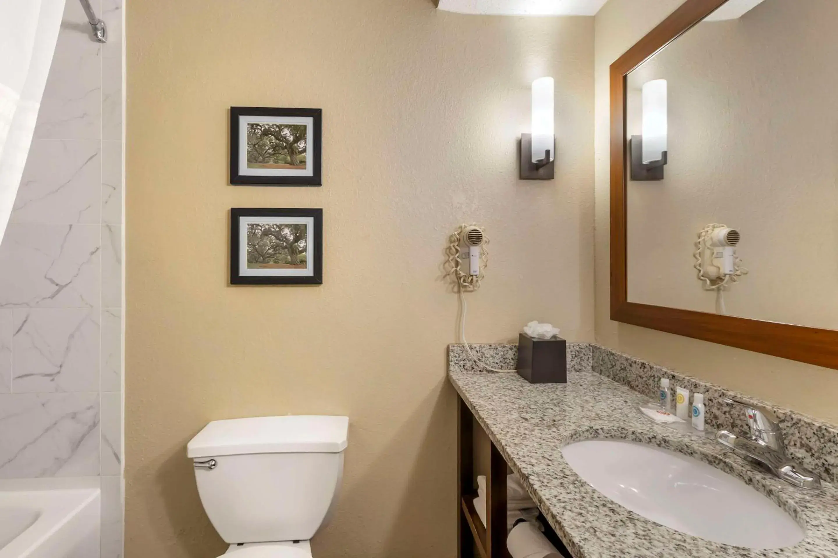 Bedroom in Comfort Suites At the University Bedroom in Comfort Suites At the University