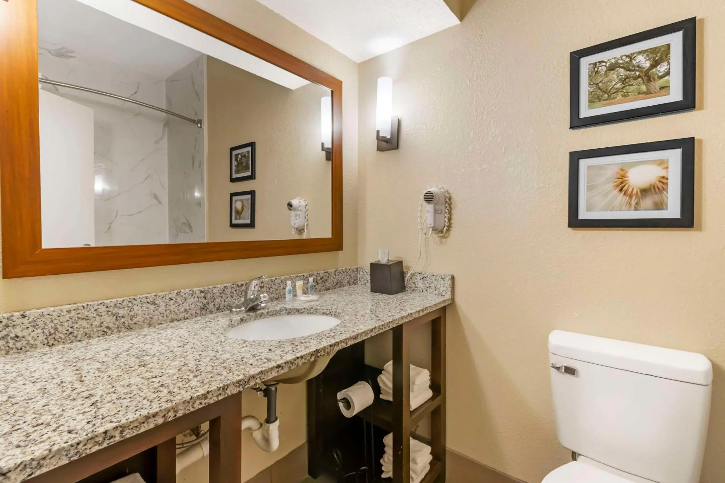 Bedroom in Comfort Suites At the University Bedroom in Comfort Suites At the University