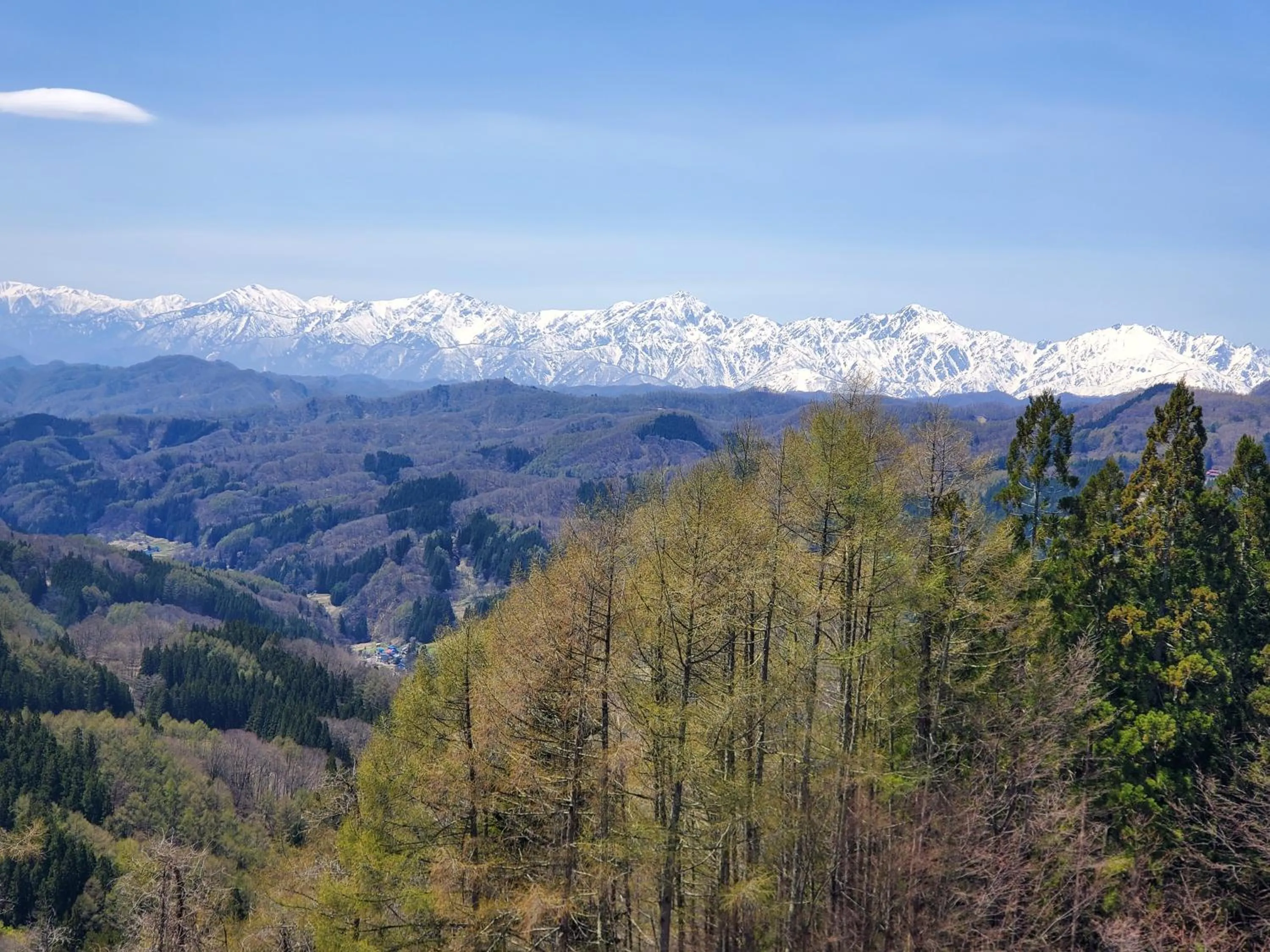 プチホテル葡萄屋