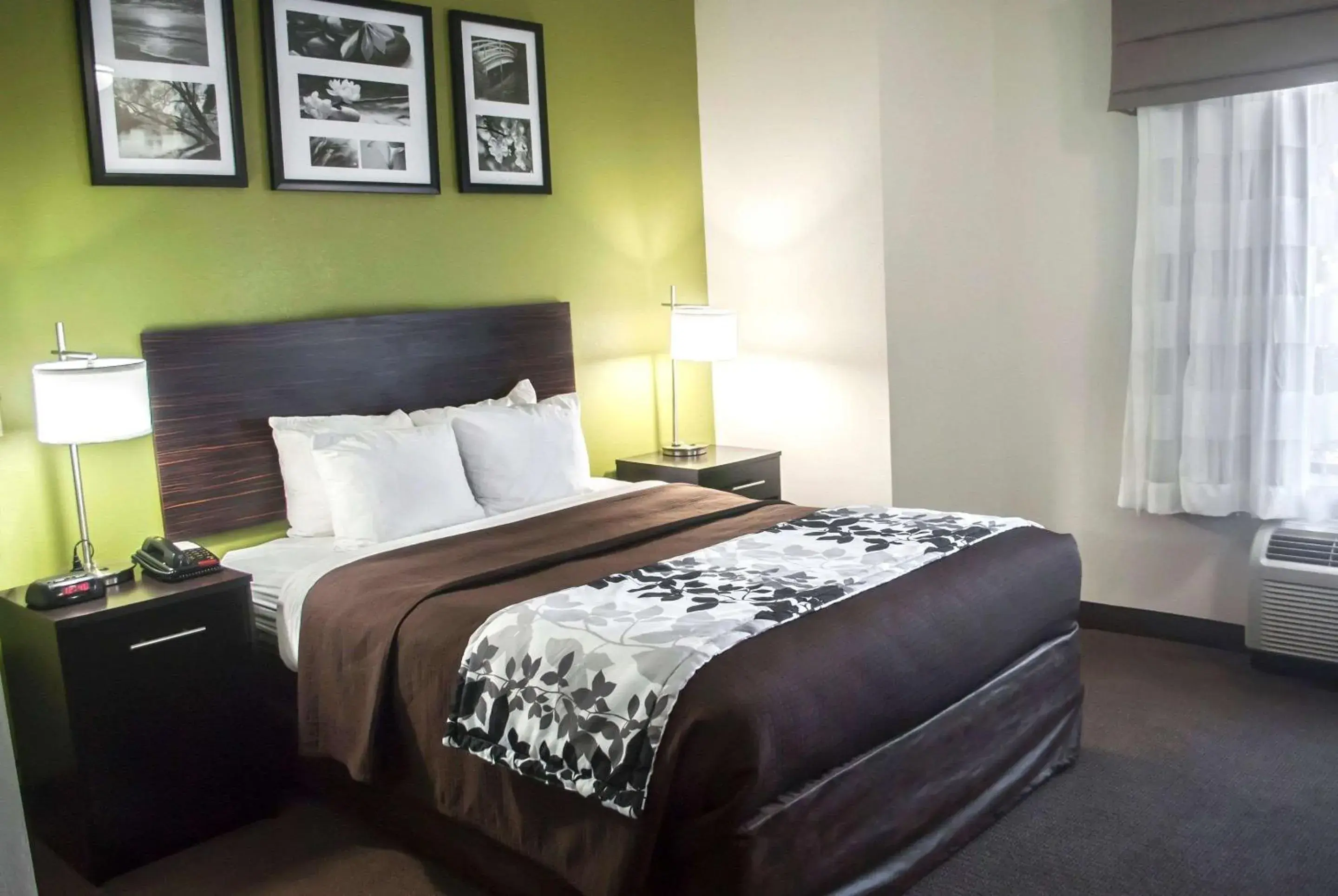 Photo of the whole room, Bed in Quality Inn Conway Northwest Photo of the whole room, Bed in Quality Inn Conway Northwest