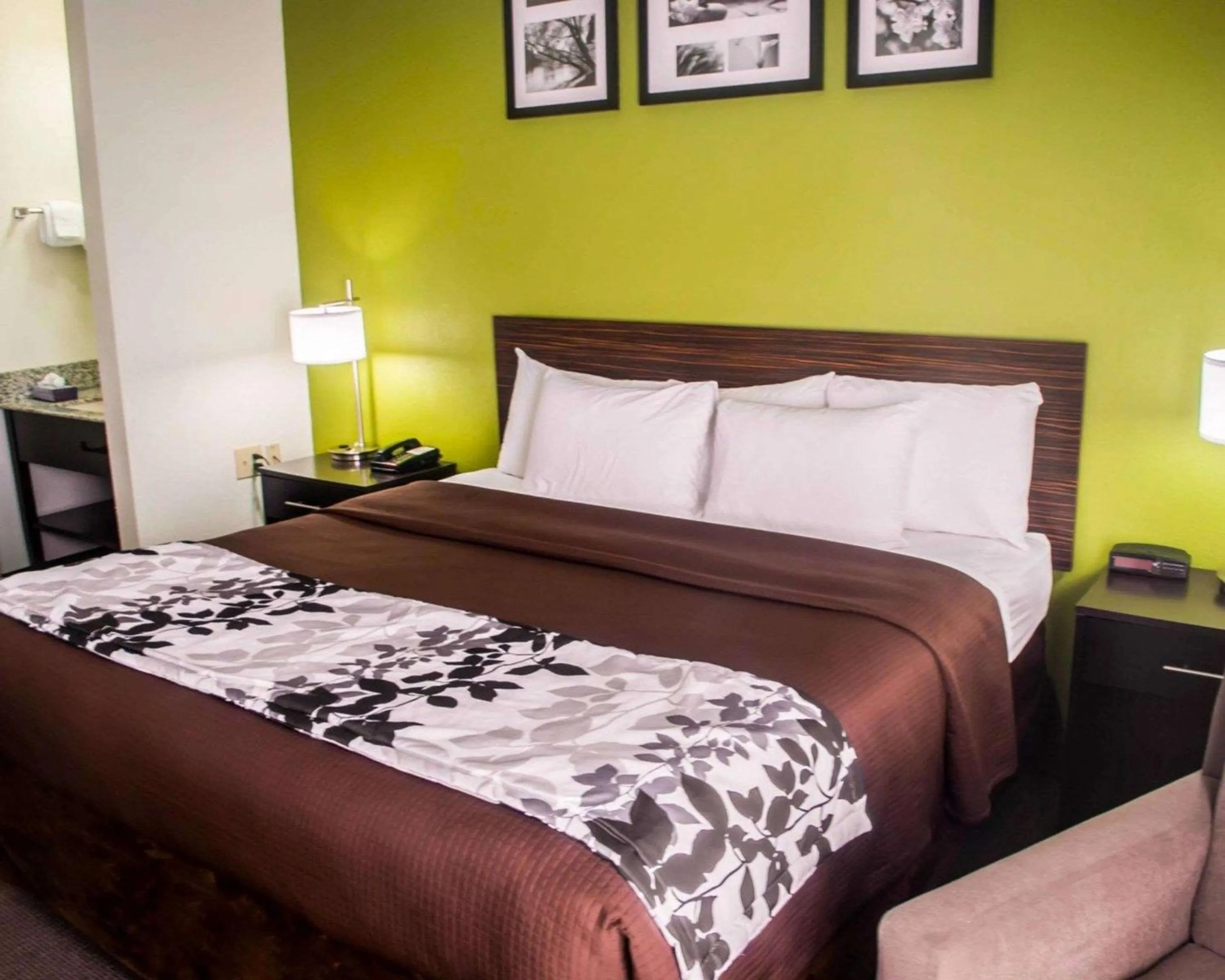 Photo of the whole room, Bed in Quality Inn Conway Northwest