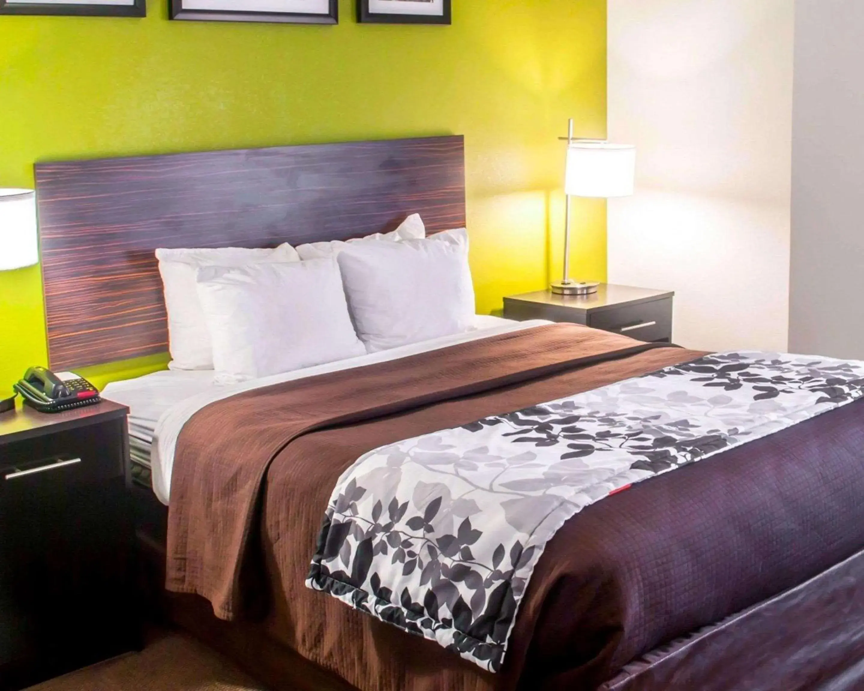 Photo of the whole room, Bed in Quality Inn Conway Northwest Photo of the whole room, Bed in Quality Inn Conway Northwest