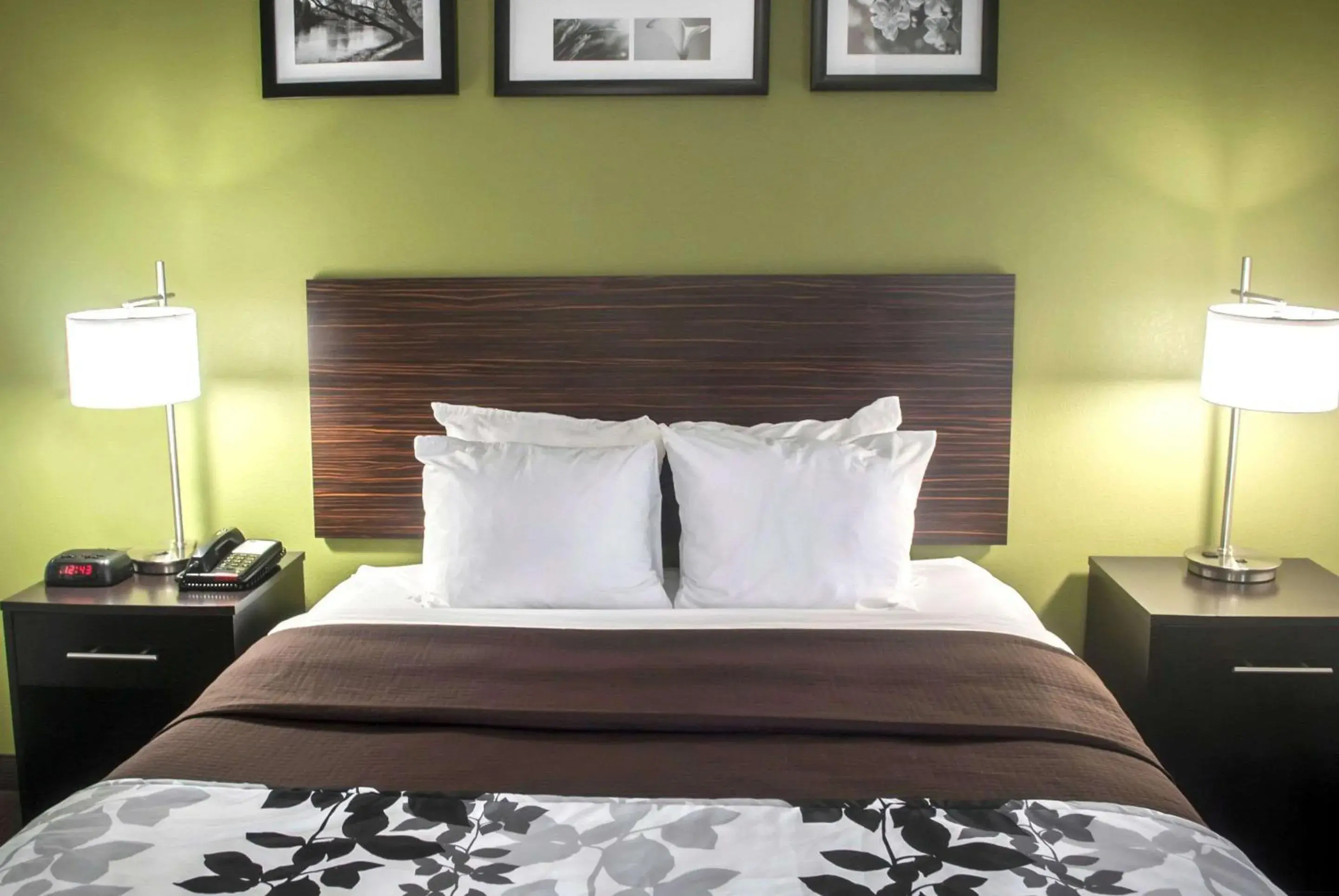 Photo of the whole room, Bed in Quality Inn Conway Northwest Photo of the whole room, Bed in Quality Inn Conway Northwest