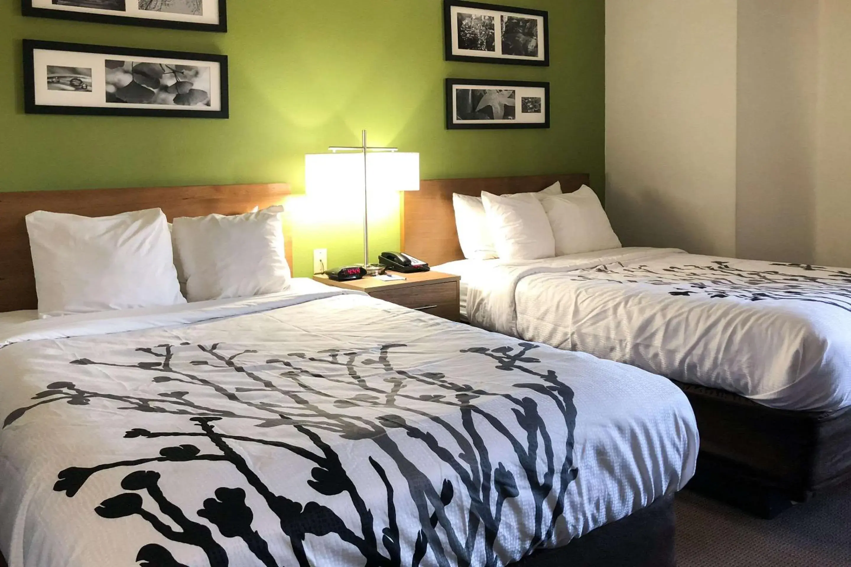 Photo of the whole room, Bed in Sleep Inn Hardeeville - I-95 Photo of the whole room, Bed in Sleep Inn Hardeeville - I-95