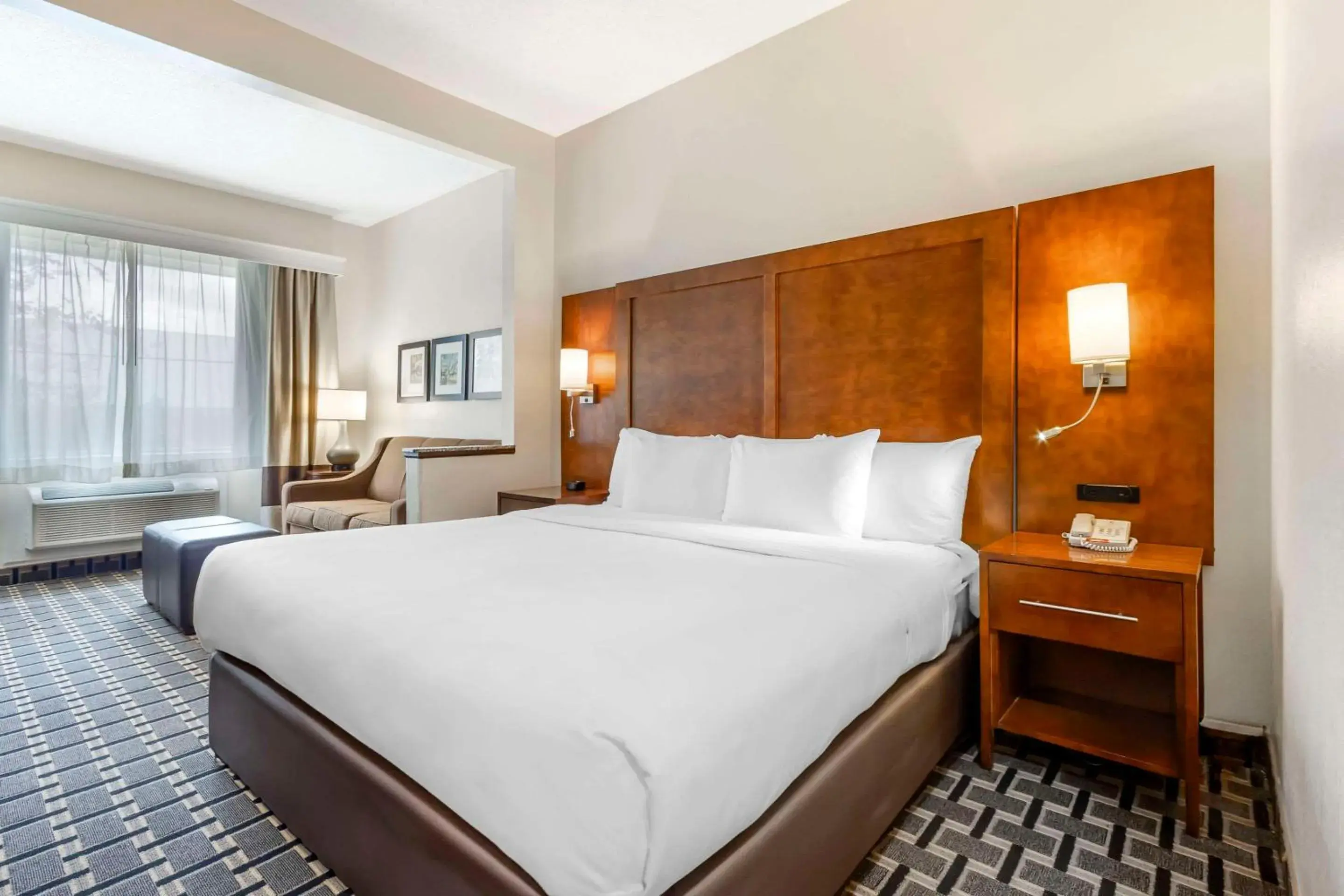 King Suite - Non-Smoking in Comfort Inn Summerville - Charleston King Suite - Non-Smoking in Comfort Inn Summerville - Charleston