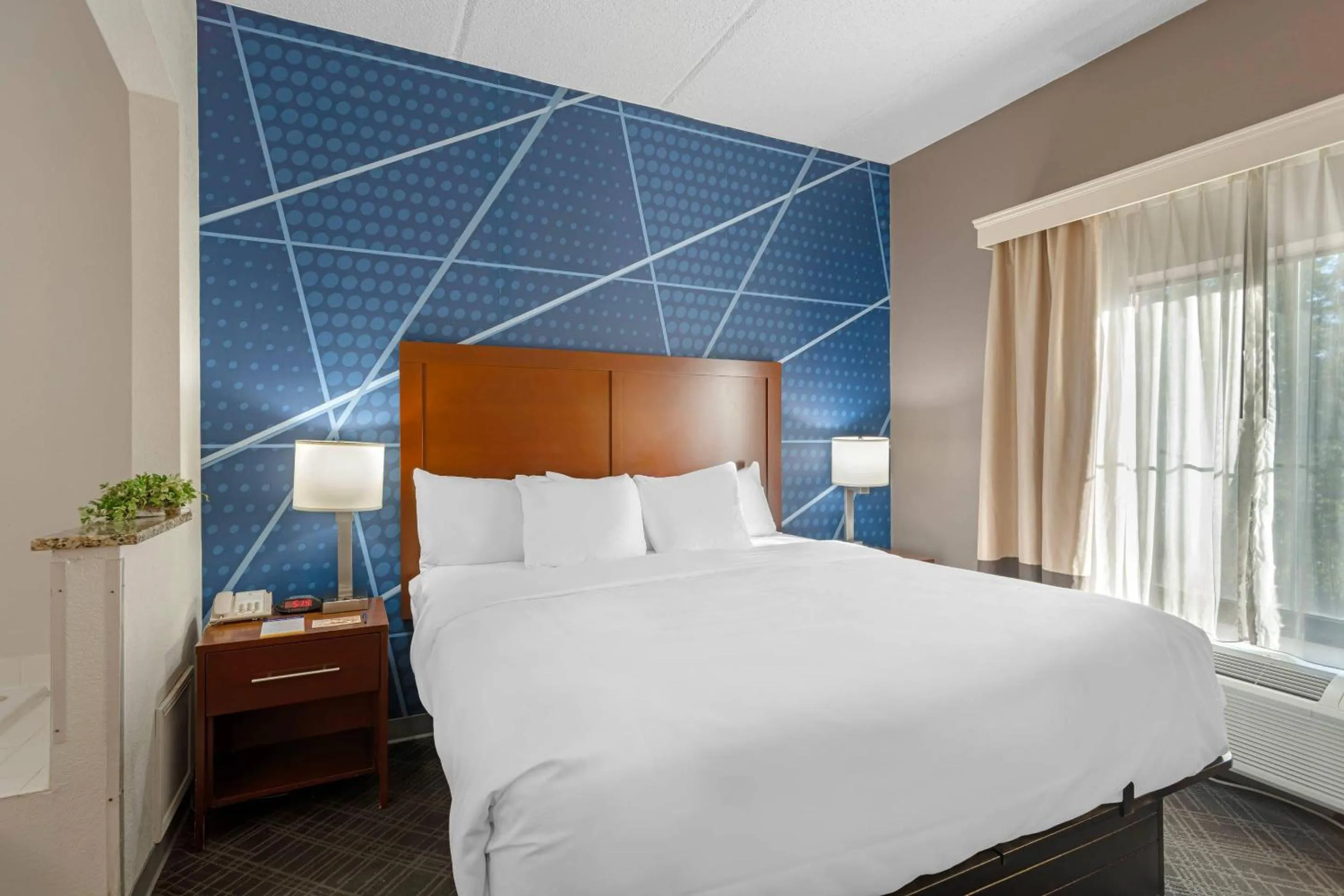 Bedroom, Bed in Comfort Inn & Suites Spartanburg North