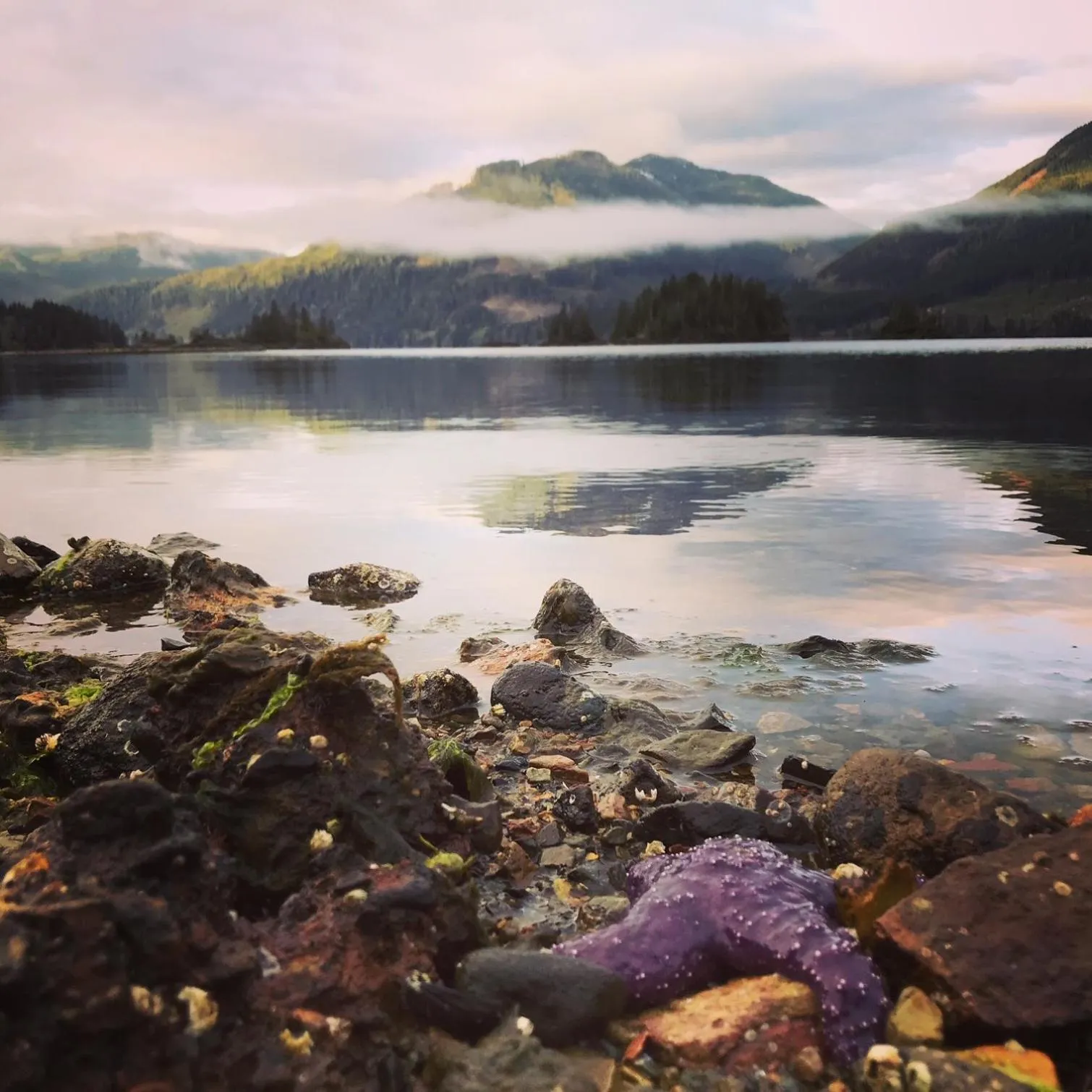 Natural landscape in Frigon Suite -Waterfront