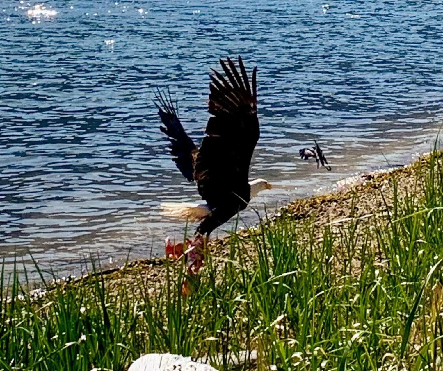 Beach in Frigon Suite -Waterfront