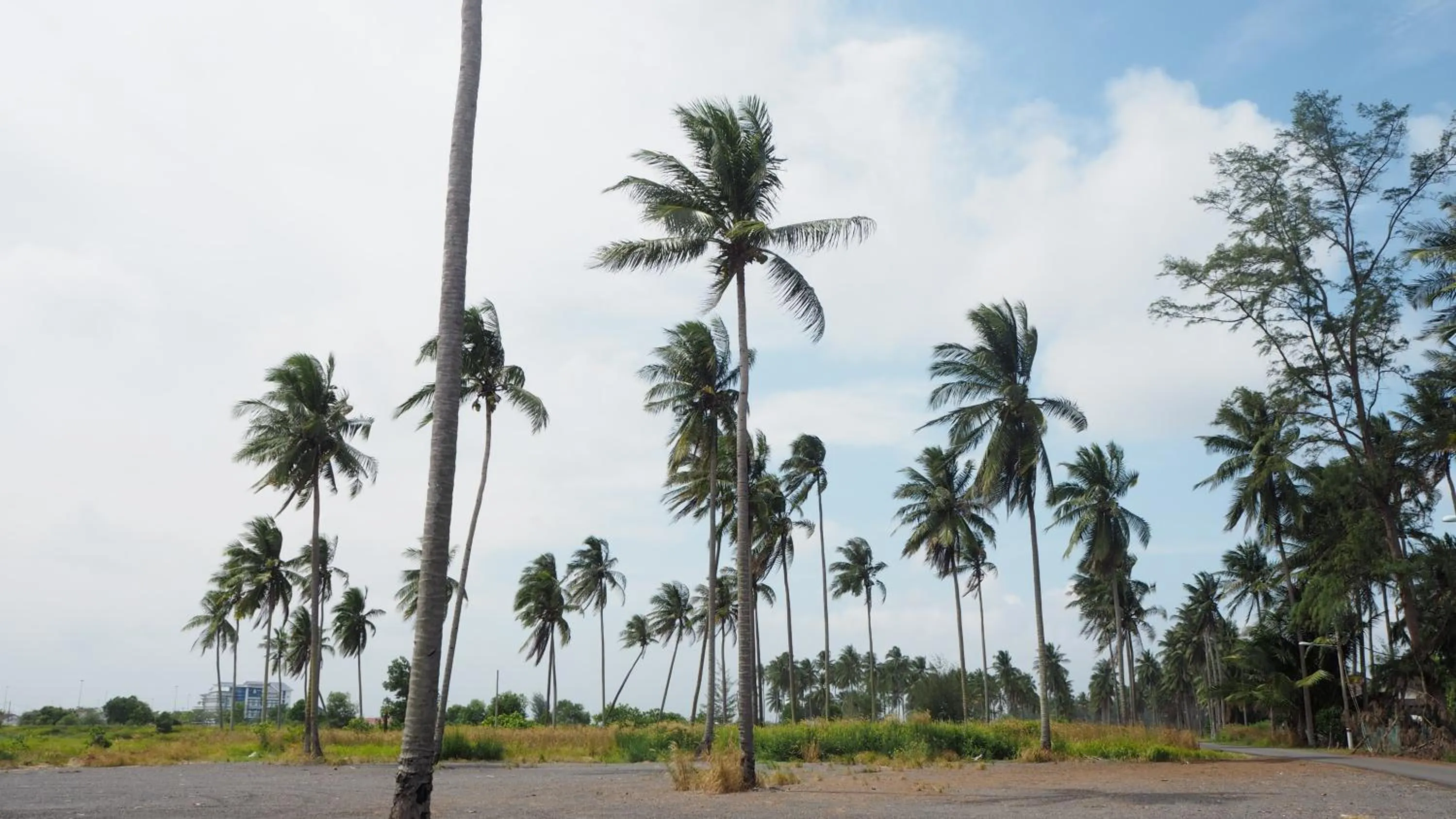Lotus Seaview Beach Resort, Pengerang