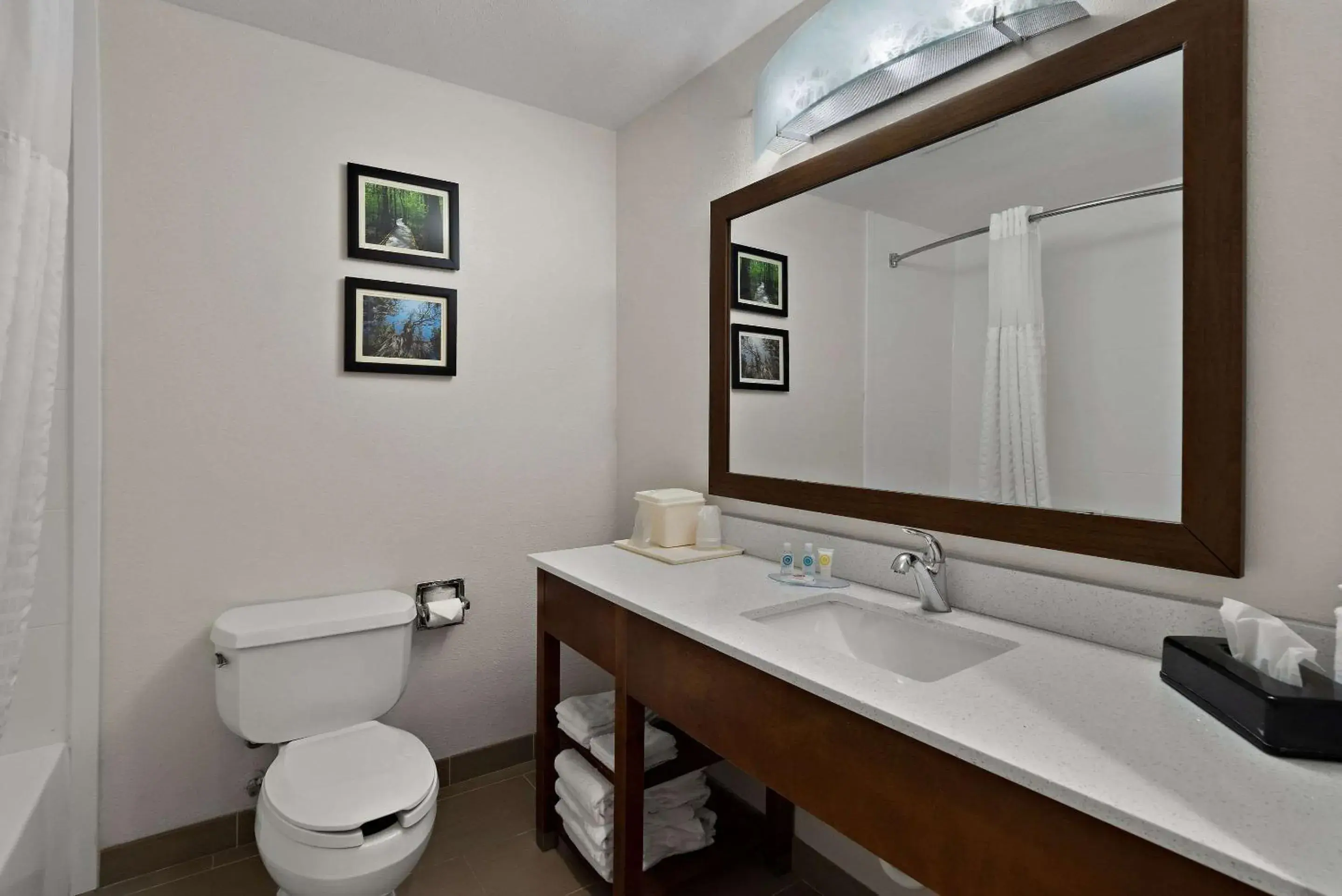 Bedroom in Comfort Inn & Suites Santee I-95 Bedroom in Comfort Inn & Suites Santee I-95