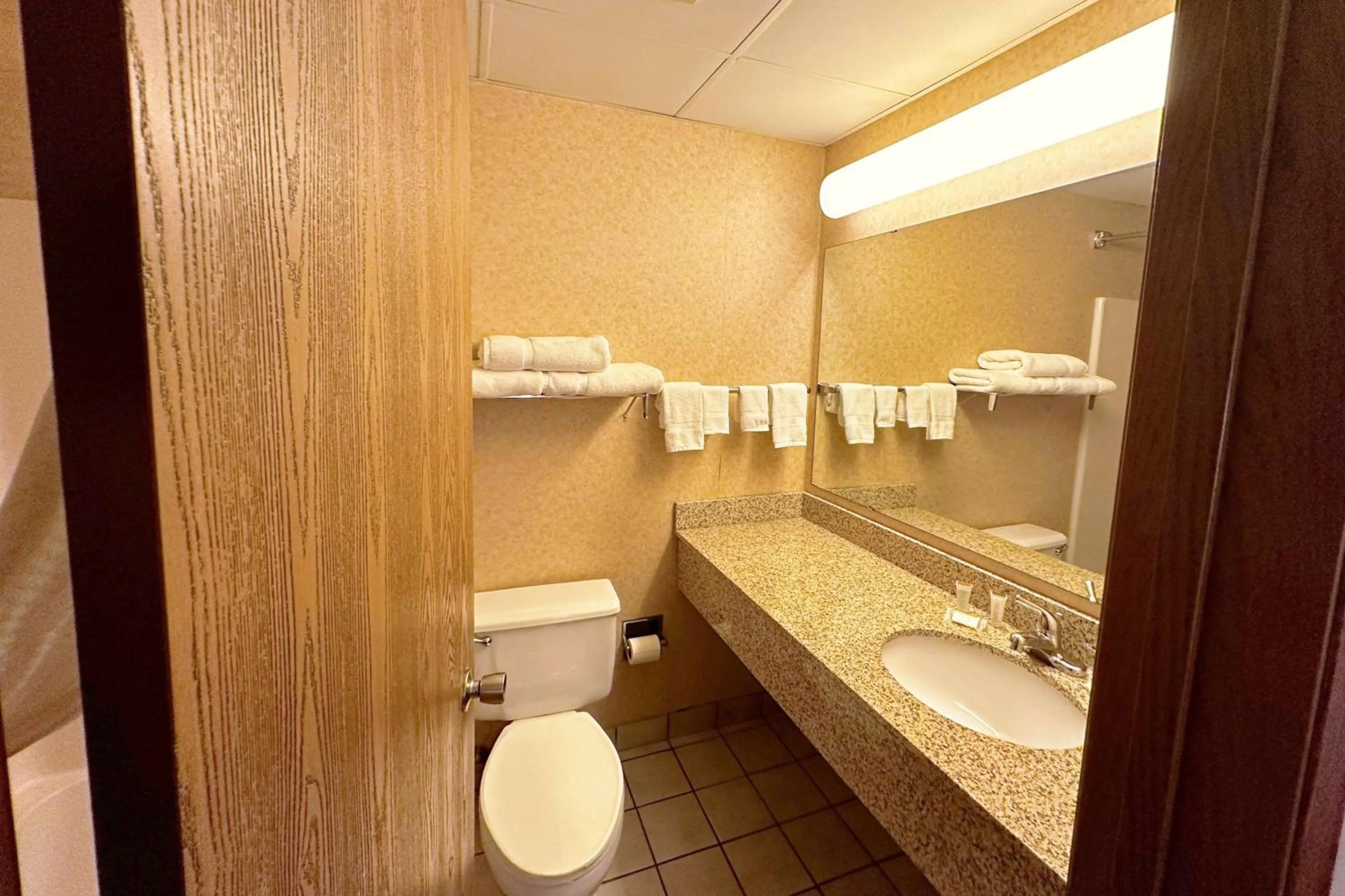 TV and multimedia, Bathroom in Quality Inn & Suites I-90