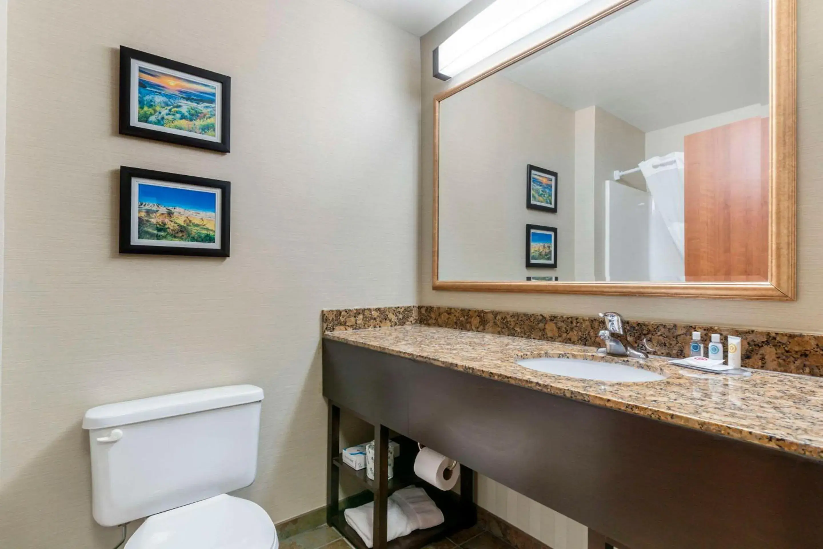 Bedroom in Comfort Inn & Suites Mitchell I-90 Bedroom in Comfort Inn & Suites Mitchell I-90