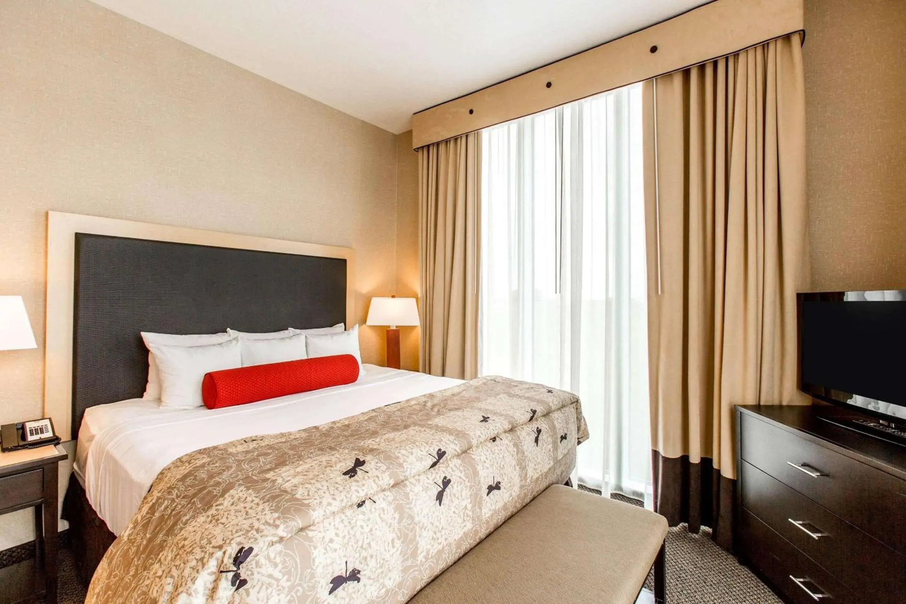 Suite with Two Queen Beds - Accessible/Non-Smoking in Cambria Hotel Rapid City near Mount Rushmore Suite with Two Queen Beds - Accessible/Non-Smoking in Cambria Hotel Rapid City near Mount Rushmore