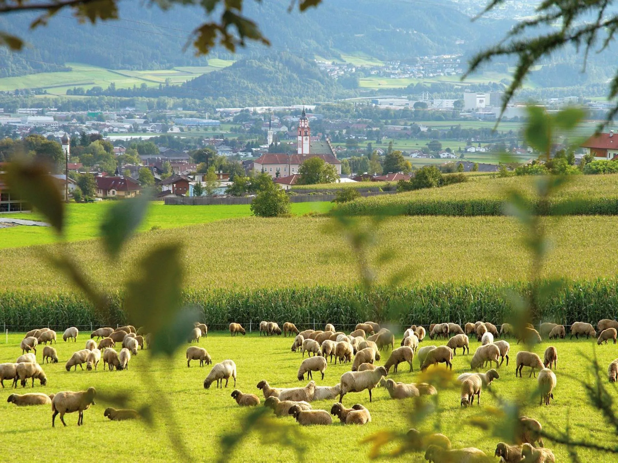 Animals in Landgasthof Bogner by SMK Event und Gastro