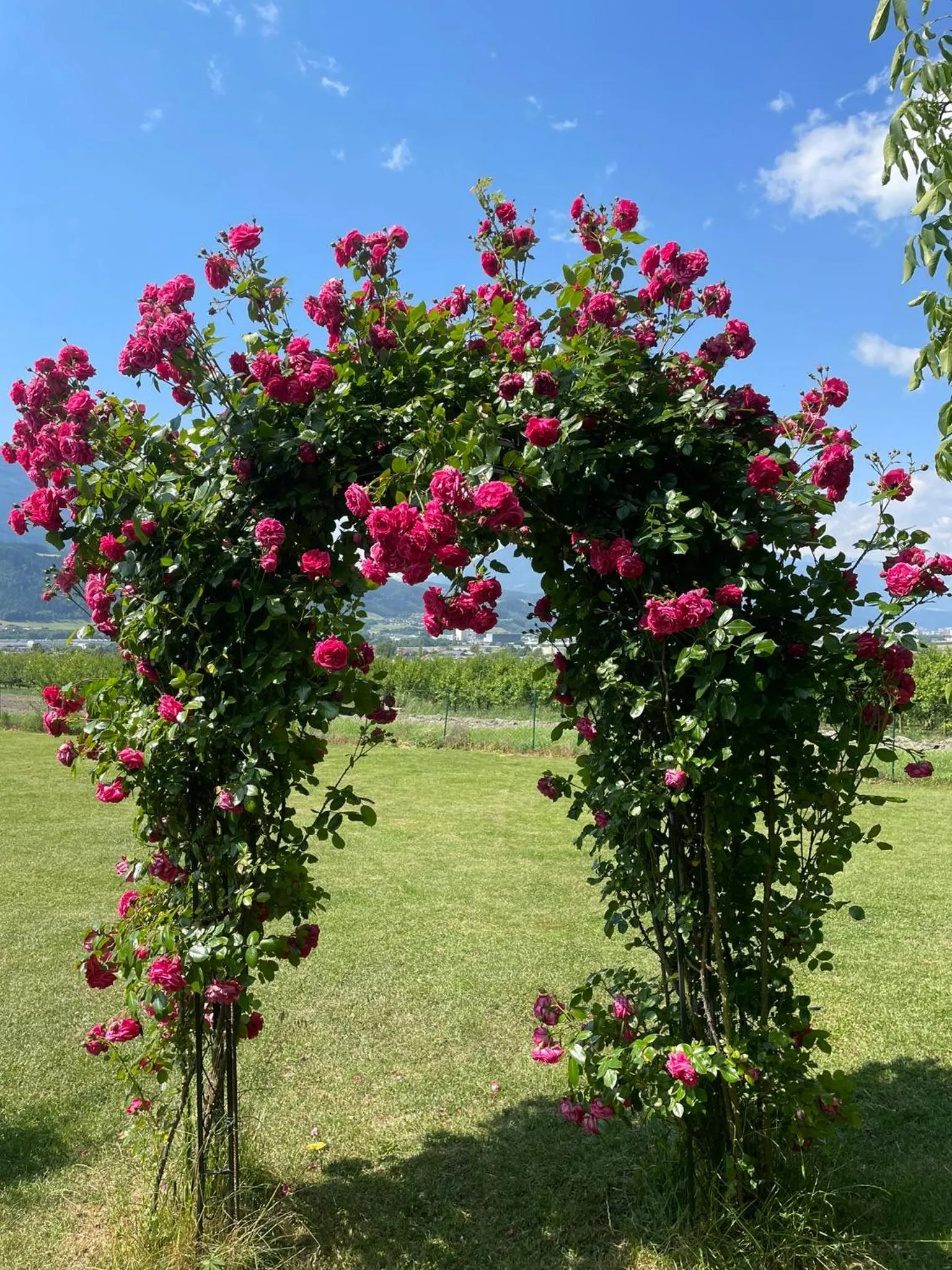 Property building in Landgasthof Bogner by SMK Event und Gastro