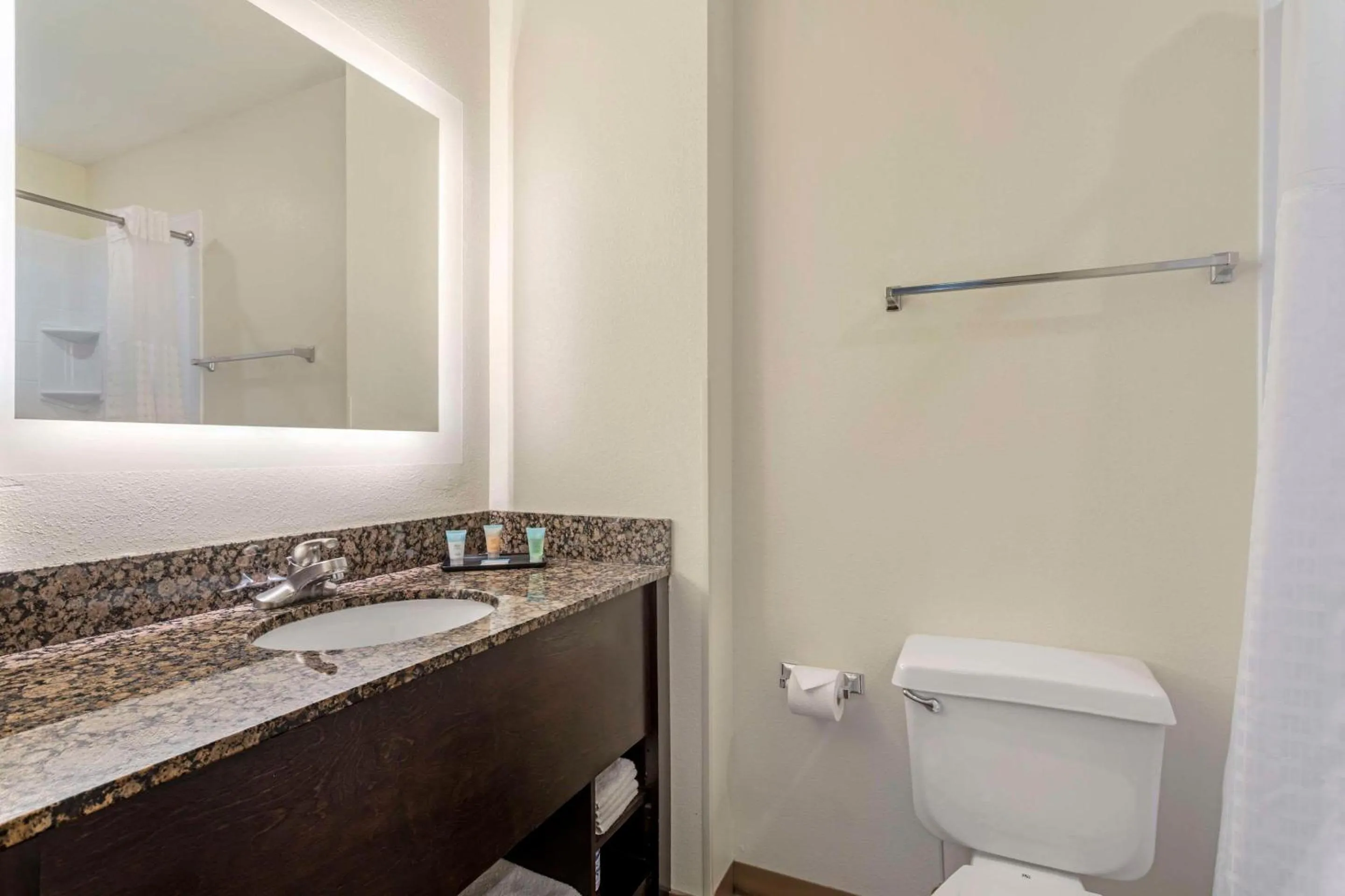 Bedroom in LeConte Hotel & Convention Center, an Ascend Collection Hotel