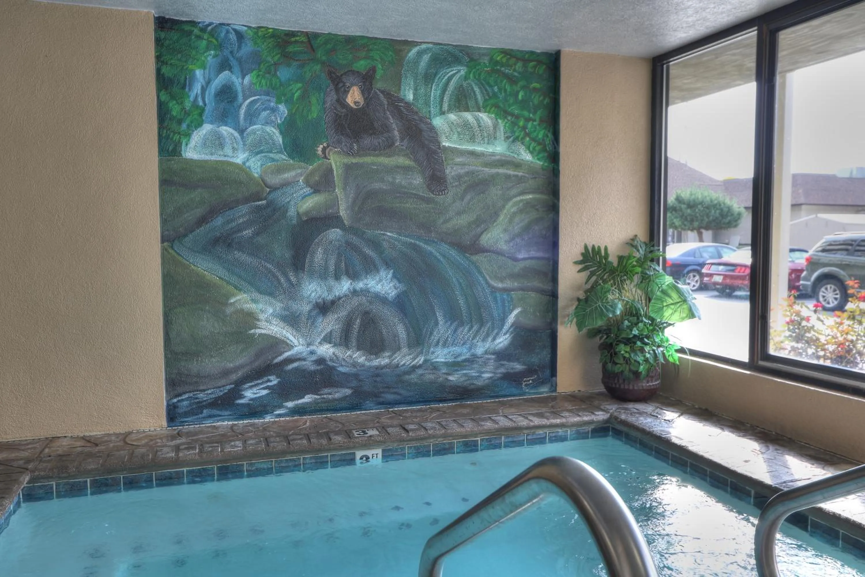 Comfort Inn & Suites at Dollywood Lane