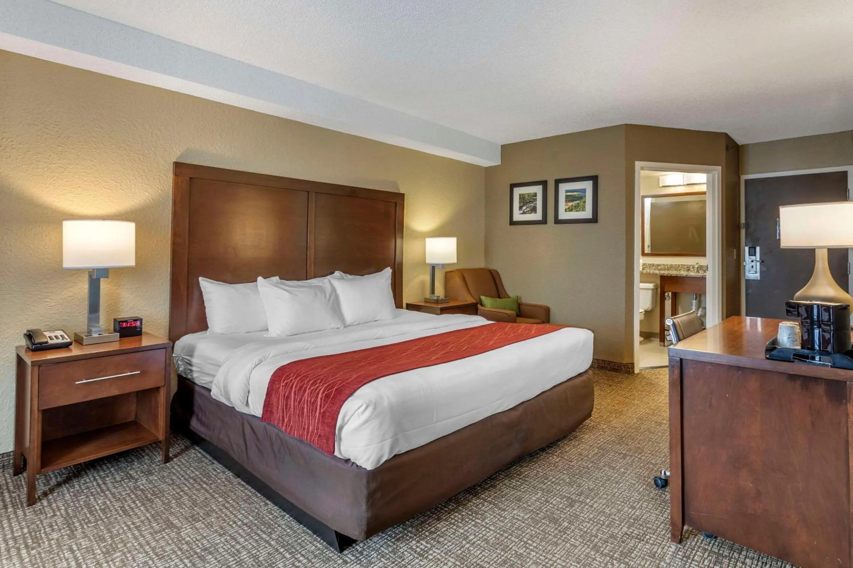 Bedroom, Bed in Comfort Inn Kingsport Southeast