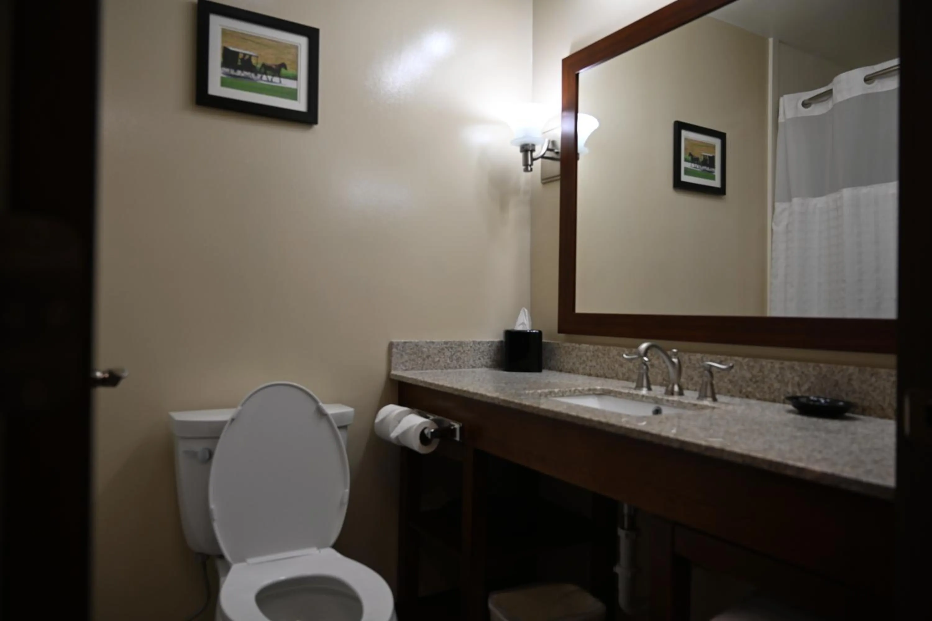 Toilet, Bathroom in Giles Hotel Inn and Suites