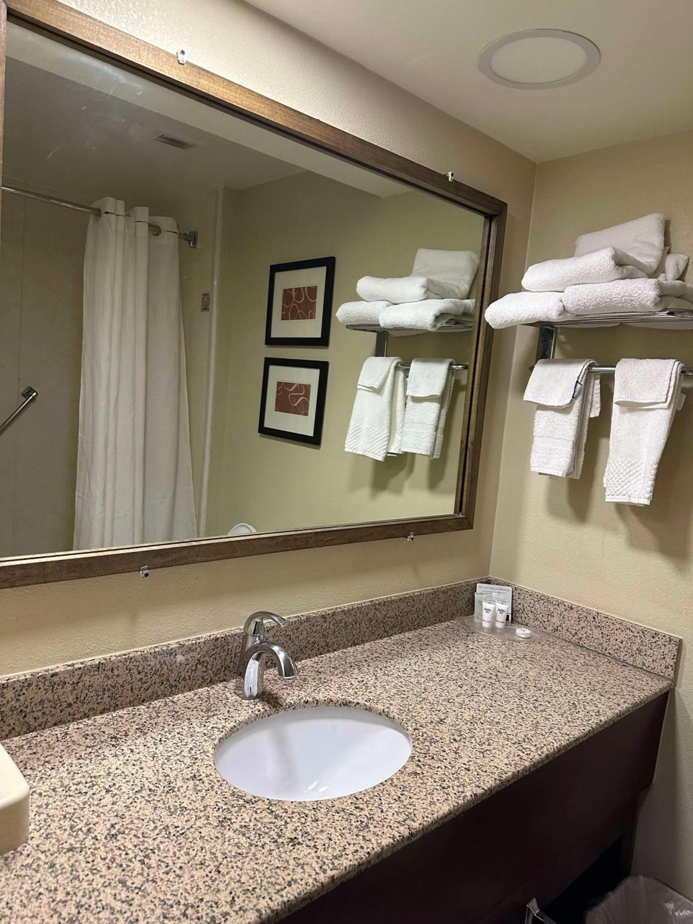 Bathroom in Vista Suites Near Island and Leconte Convention Center