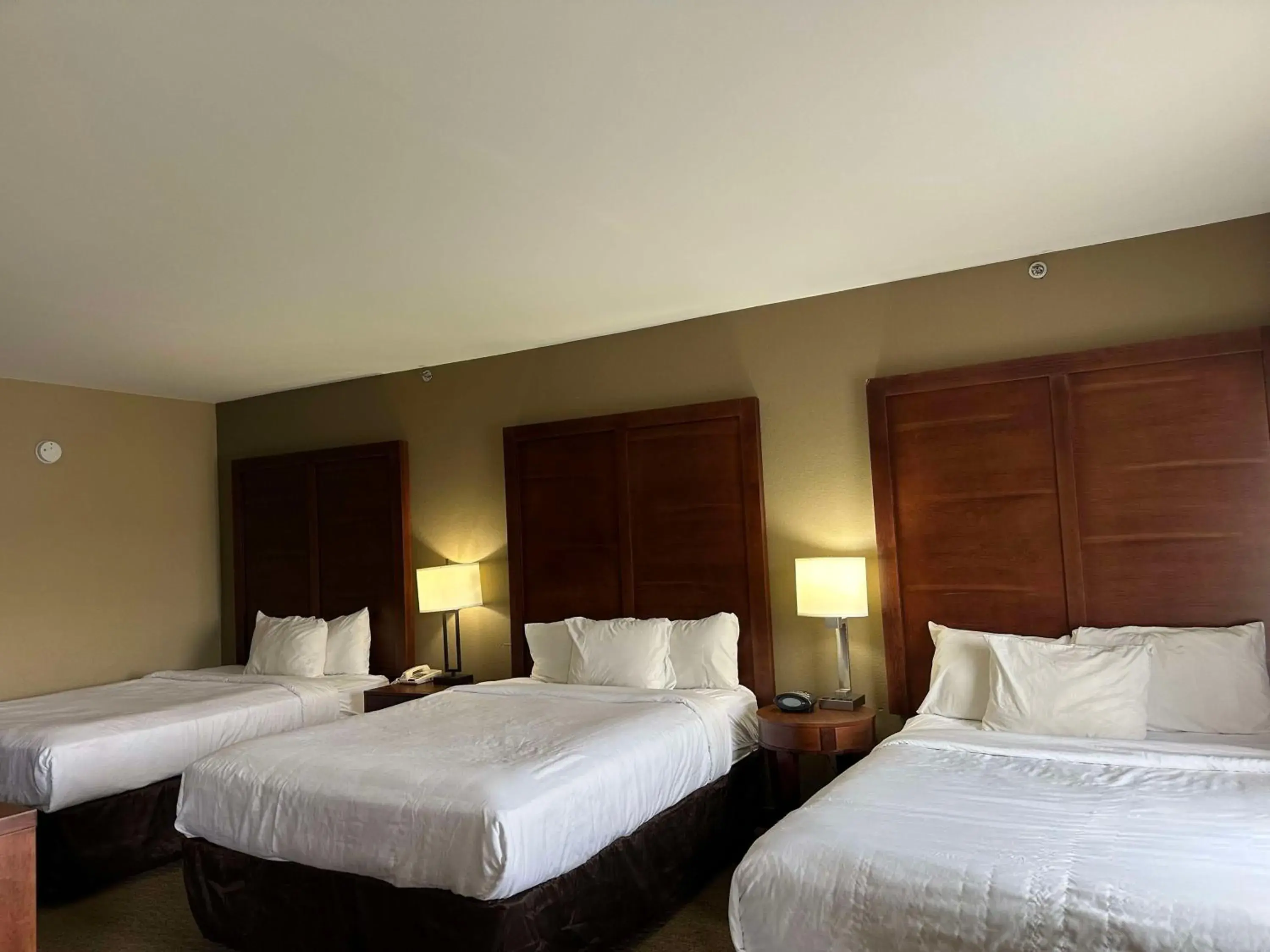Bedroom, Bed in Vista Suites Near Island and Leconte Convention Center Bedroom, Bed in Vista Suites Near Island and Leconte Convention Center