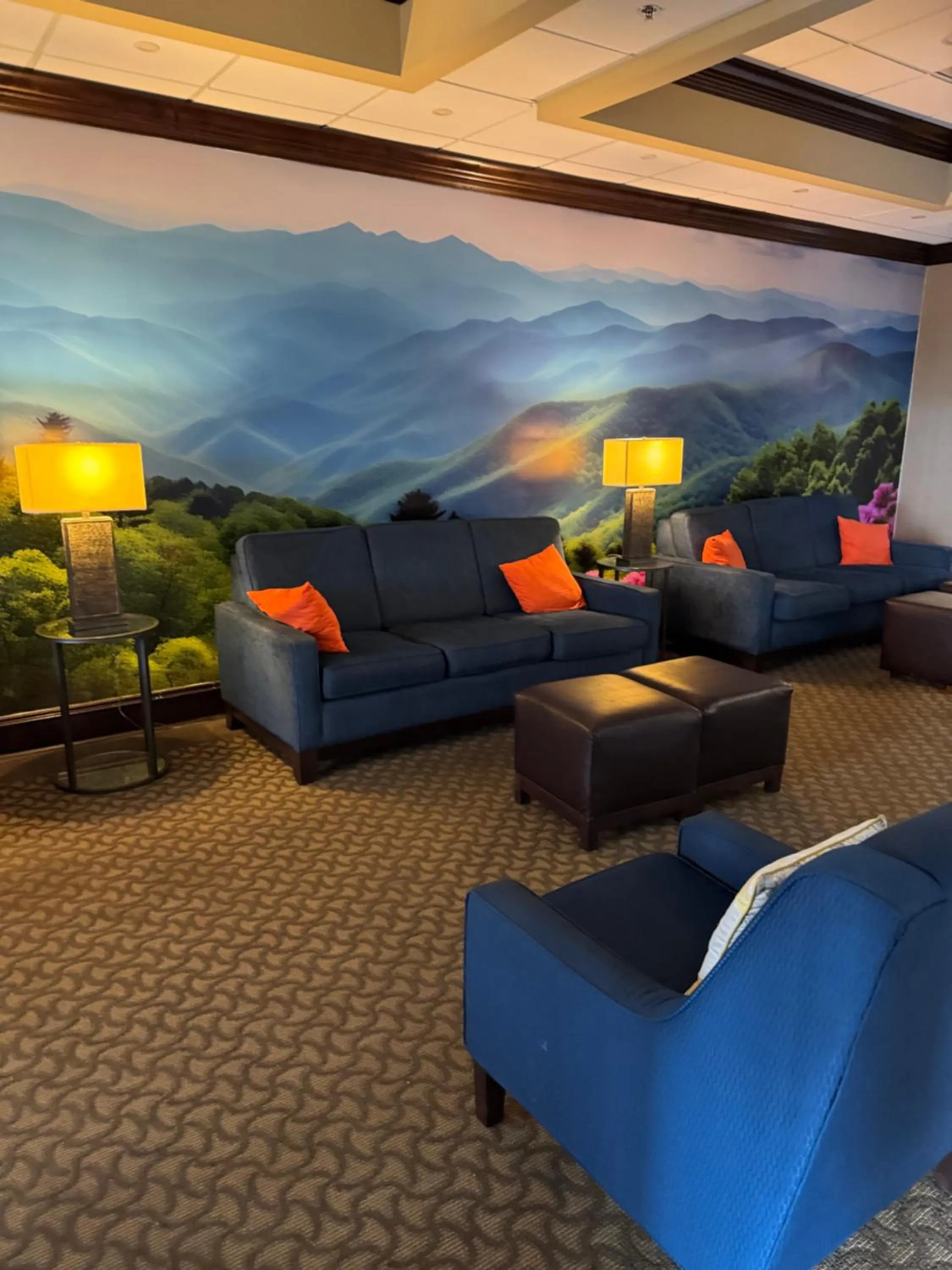 Seating area in Vista Suites Near Island and Leconte Convention Center
