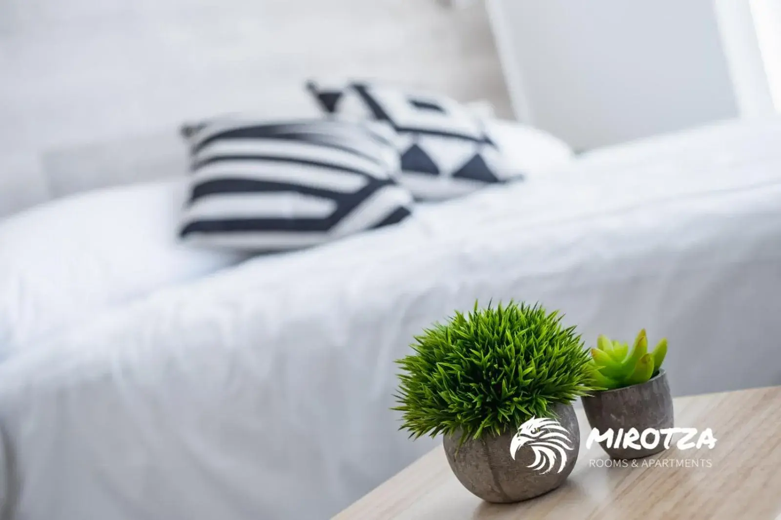 Single Room in MIROTZA ROOMS AND APARTMENTS Single Room in MIROTZA ROOMS AND APARTMENTS