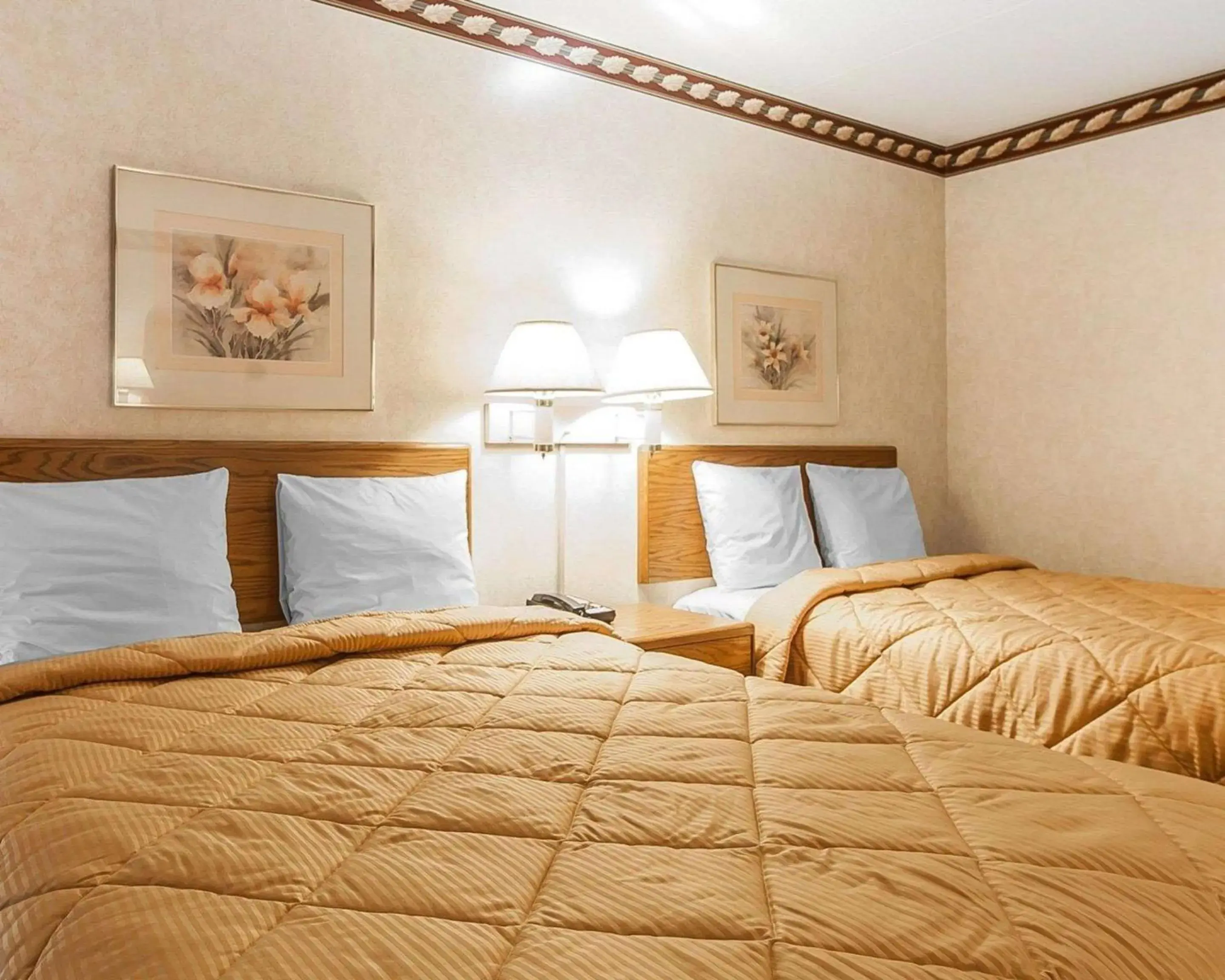 Photo of the whole room, Bed in Rodeway Inn Photo of the whole room, Bed in Rodeway Inn