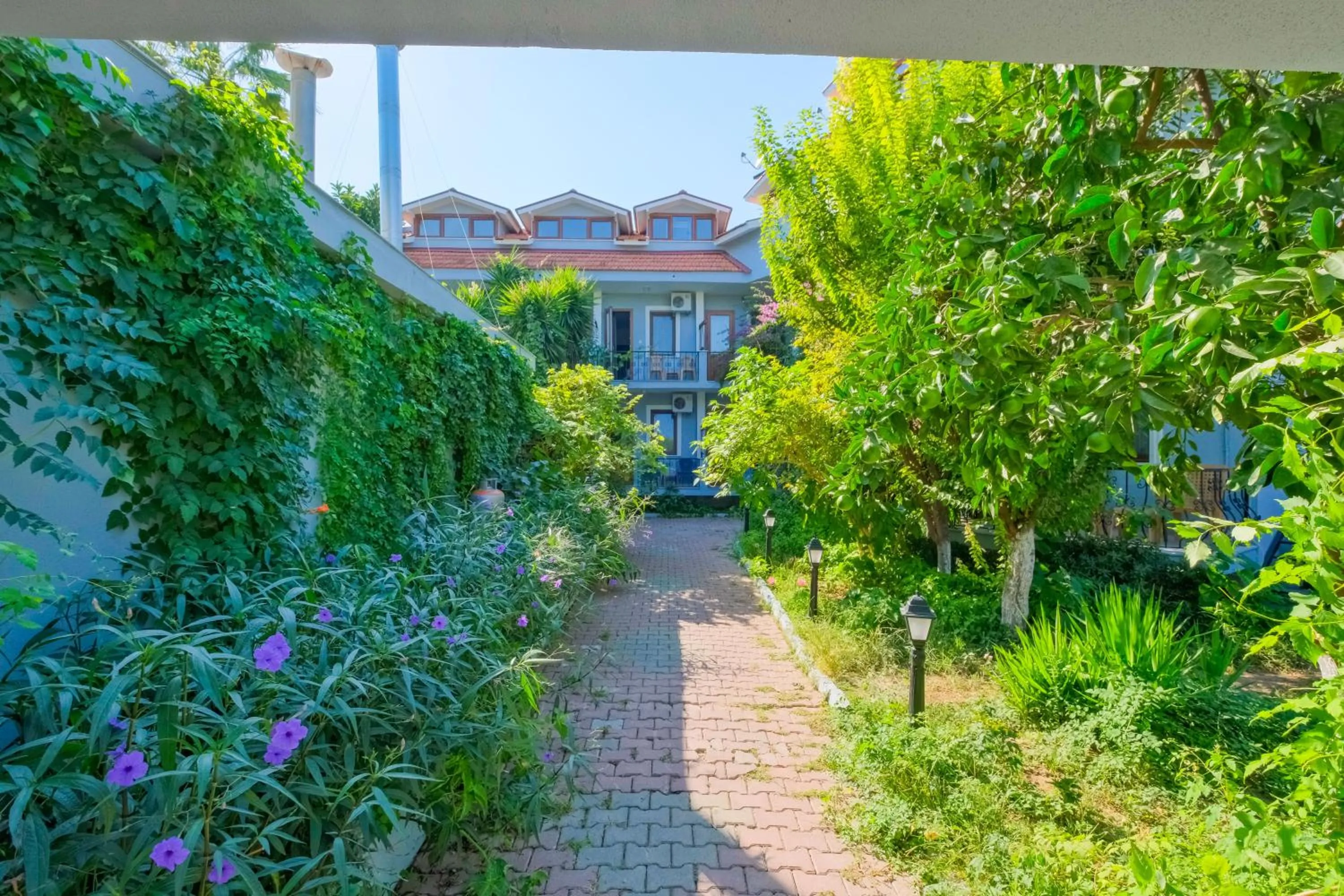 Garden in YENI DOGA HOTEL