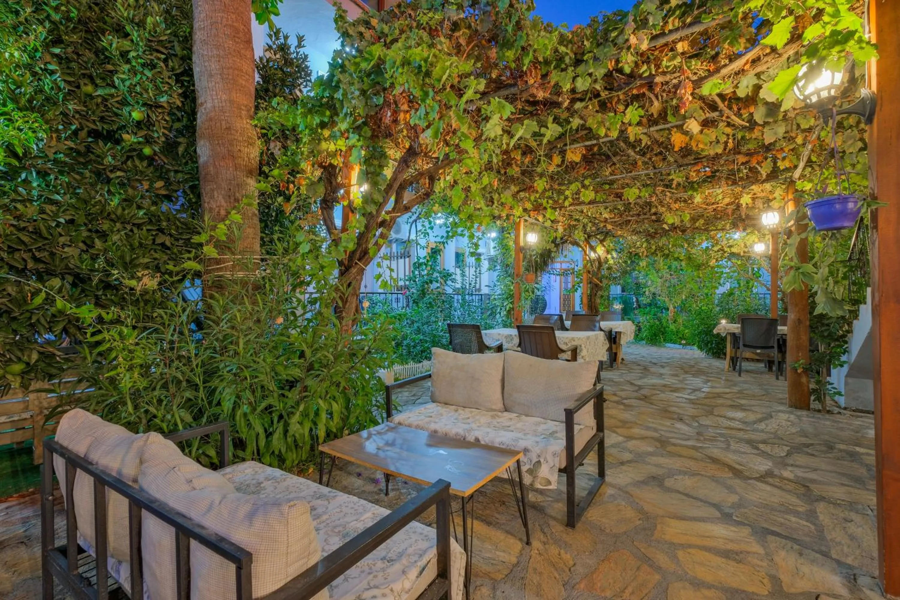 Garden view in YENI DOGA HOTEL