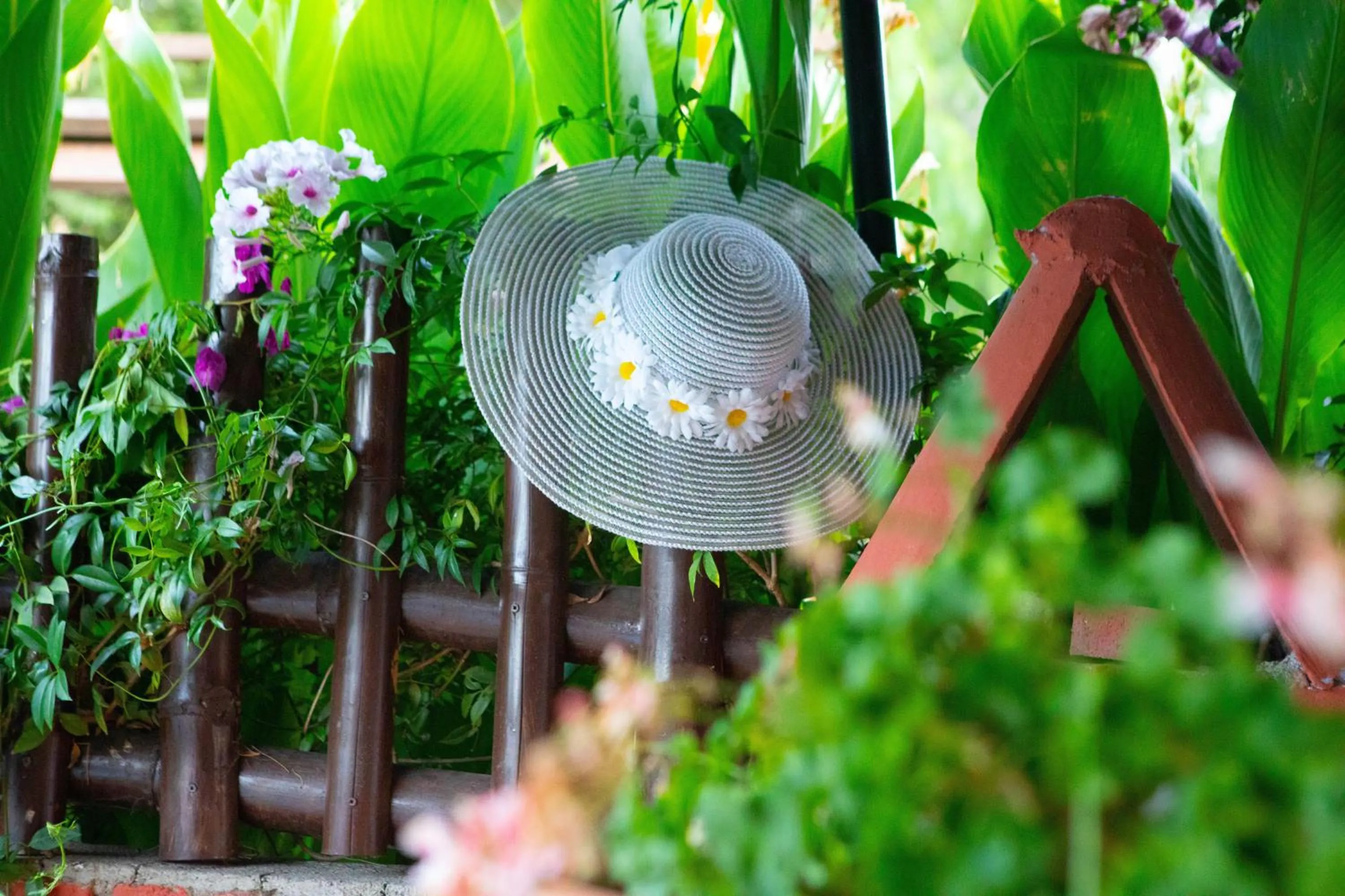Patio in YENI DOGA HOTEL