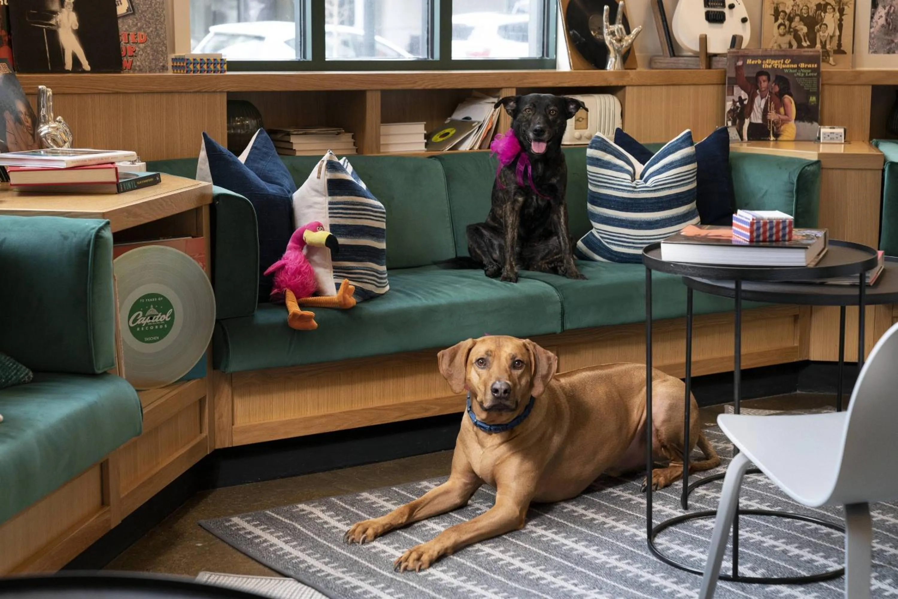 Other in MOXY Memphis Downtown