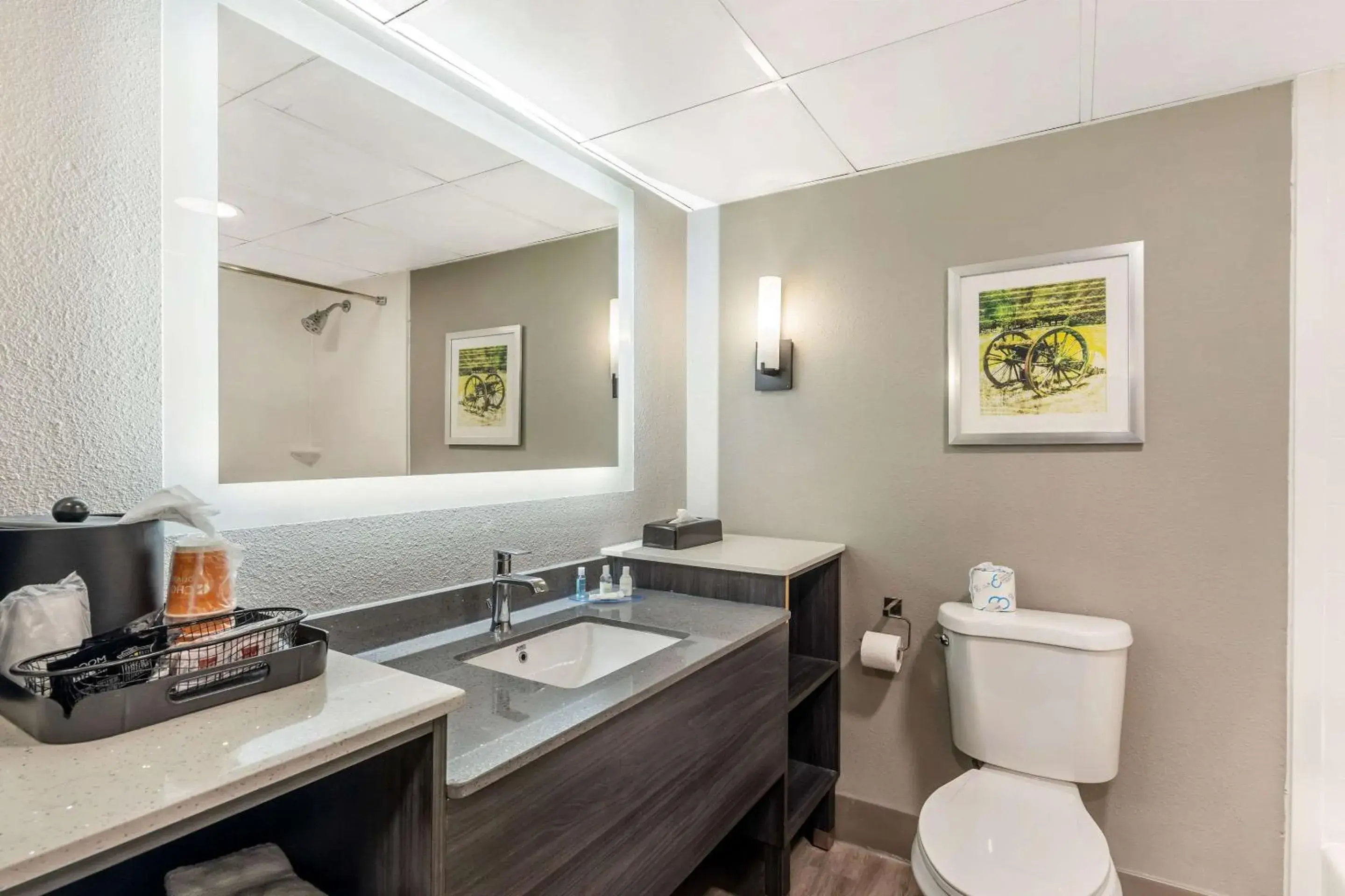 Bedroom in Clarion Inn Murfreesboro Old Fort Pkwy Bedroom in Clarion Inn Murfreesboro Old Fort Pkwy