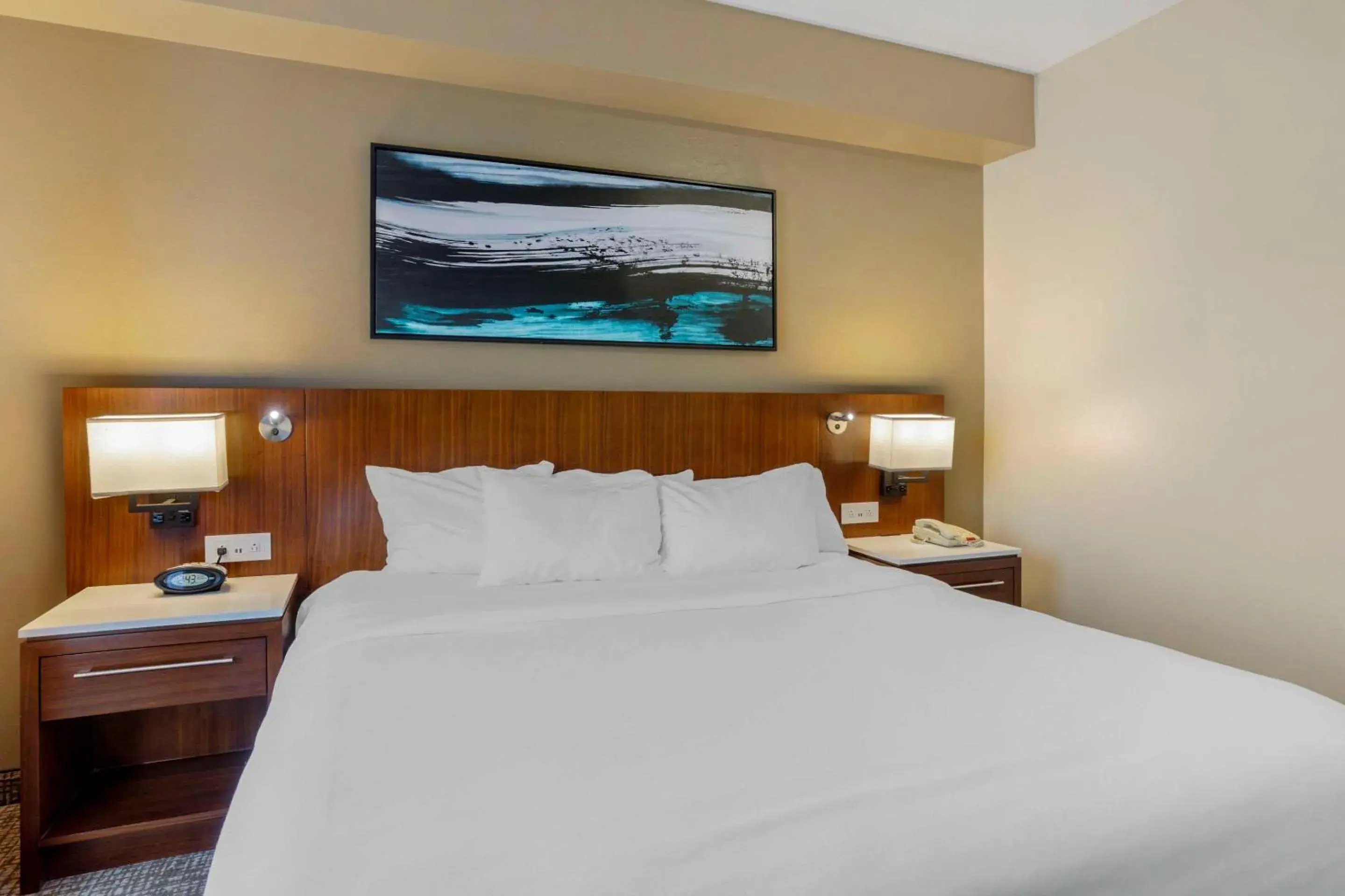 Bedroom, Bed in Comfort Suites Knoxville East Bedroom, Bed in Comfort Suites Knoxville East