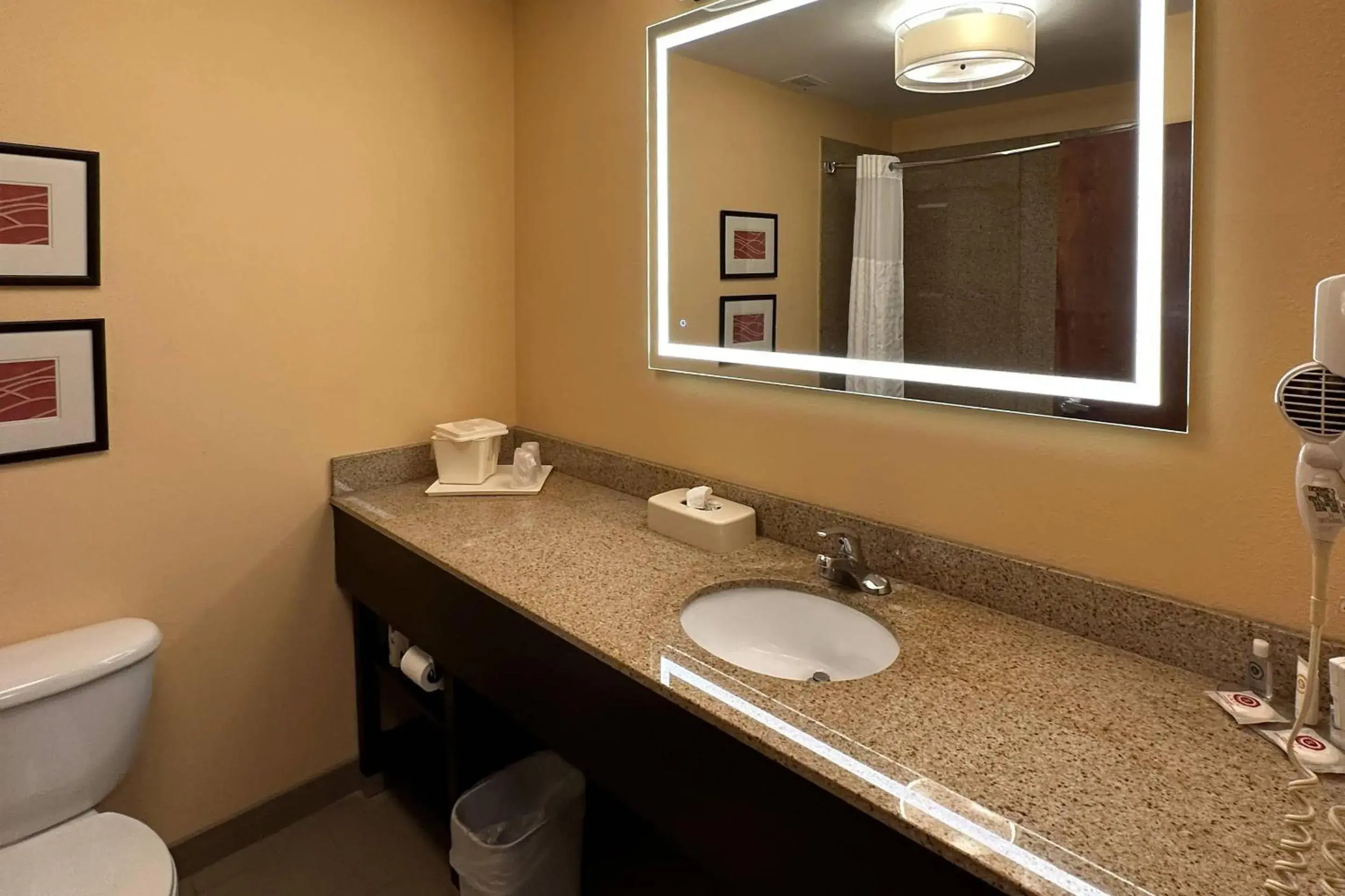 Bedroom in Comfort Inn & Suites Rogersville Bedroom in Comfort Inn & Suites Rogersville