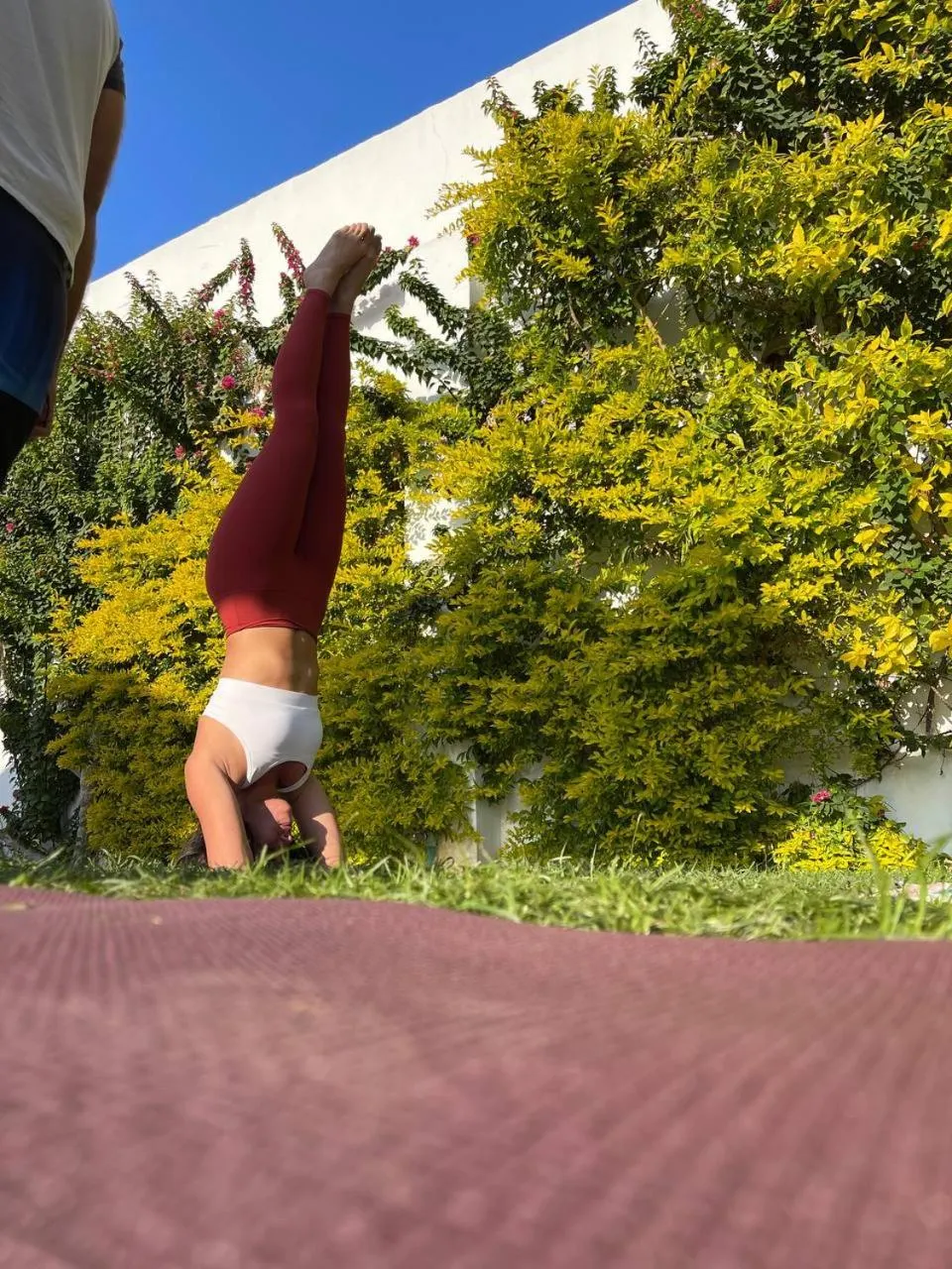 Spring in Dahab Holiday Hotel