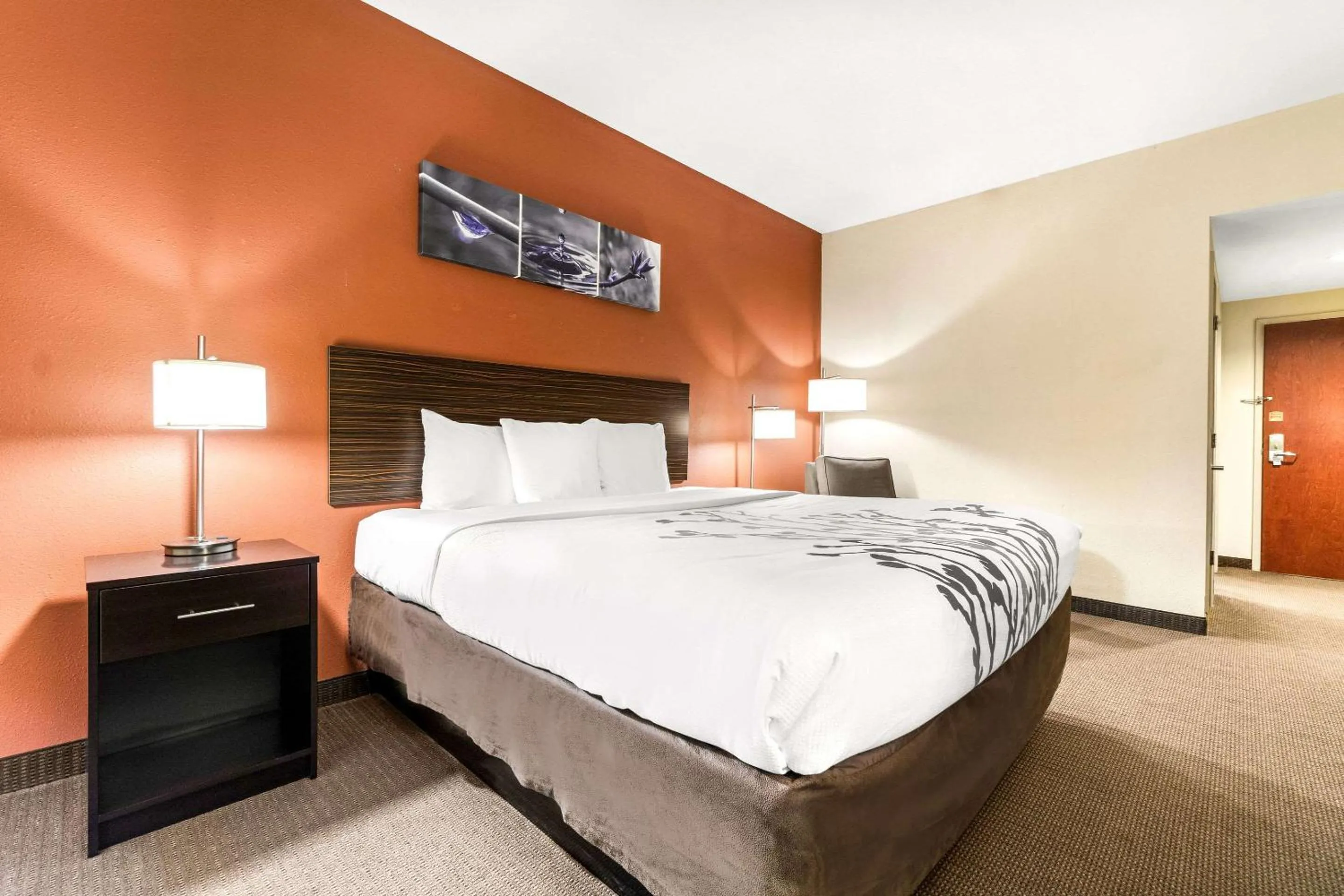 Bedroom, Bed in Sleep Inn & Suites Dyersburg I-155