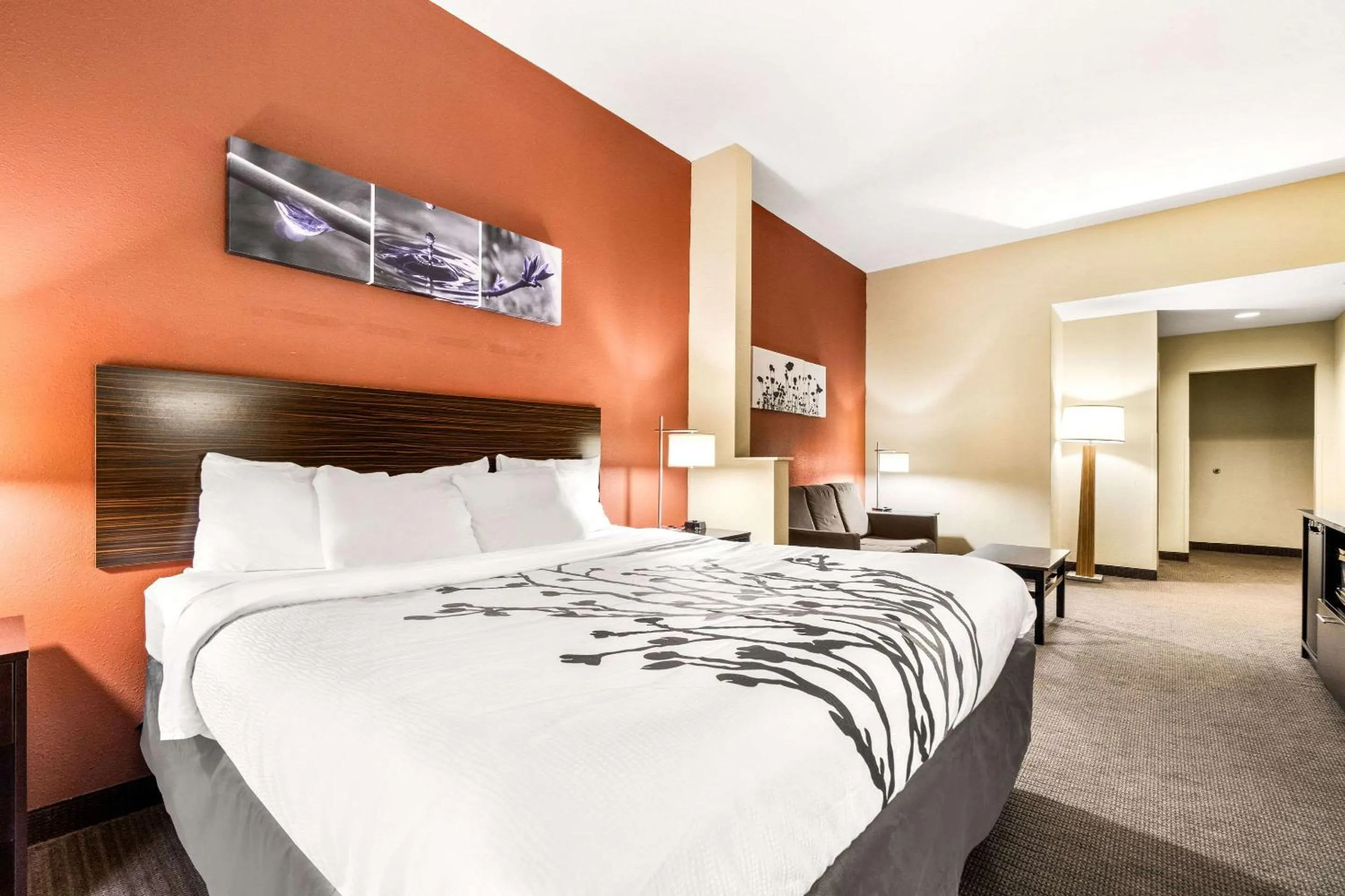 Bedroom, Bed in Sleep Inn & Suites Dyersburg I-155