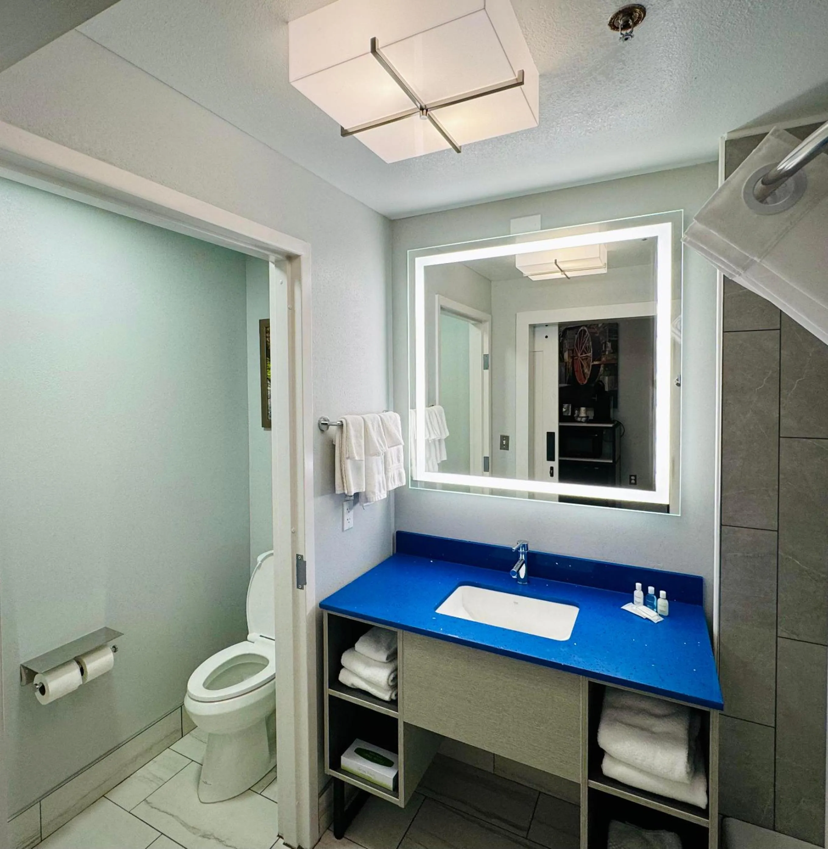 Toilet in The Walden, Trademark Collection By Wyndham