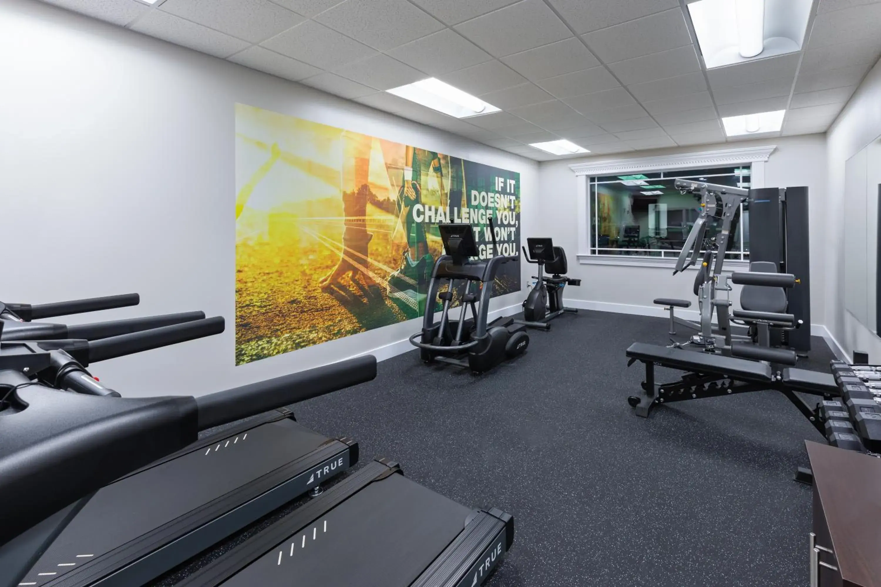 Fitness centre/facilities in The Walden, Trademark Collection By Wyndham Fitness centre/facilities in The Walden, Trademark Collection By Wyndham