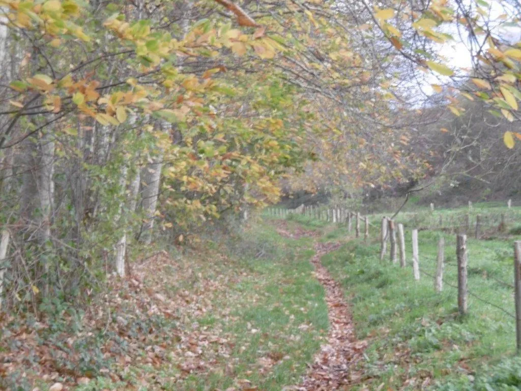 Hiking in Le fief Beaurepaire 76280