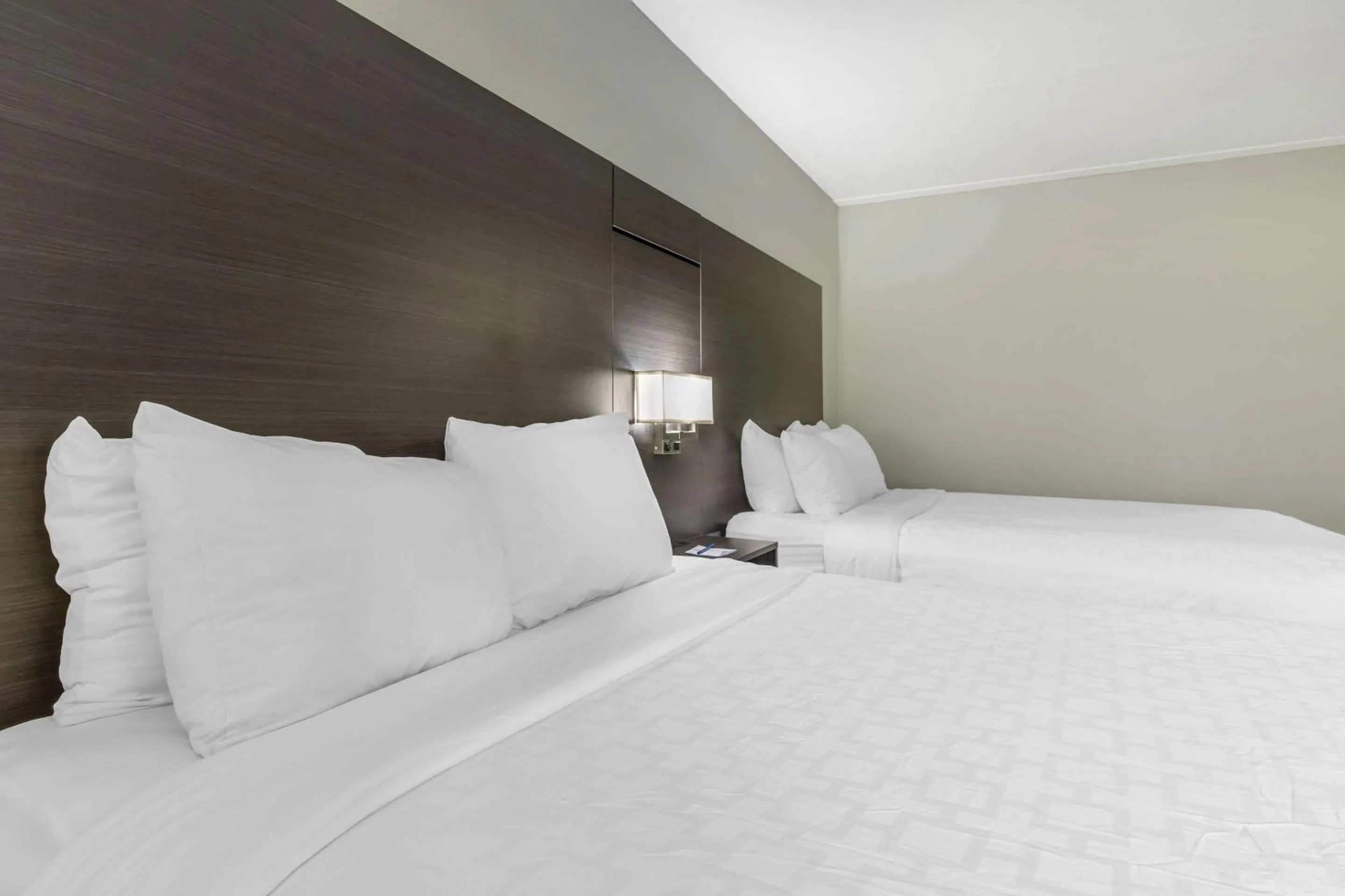 Bedroom, Bed in Clarion Inn near Lookout Mountain