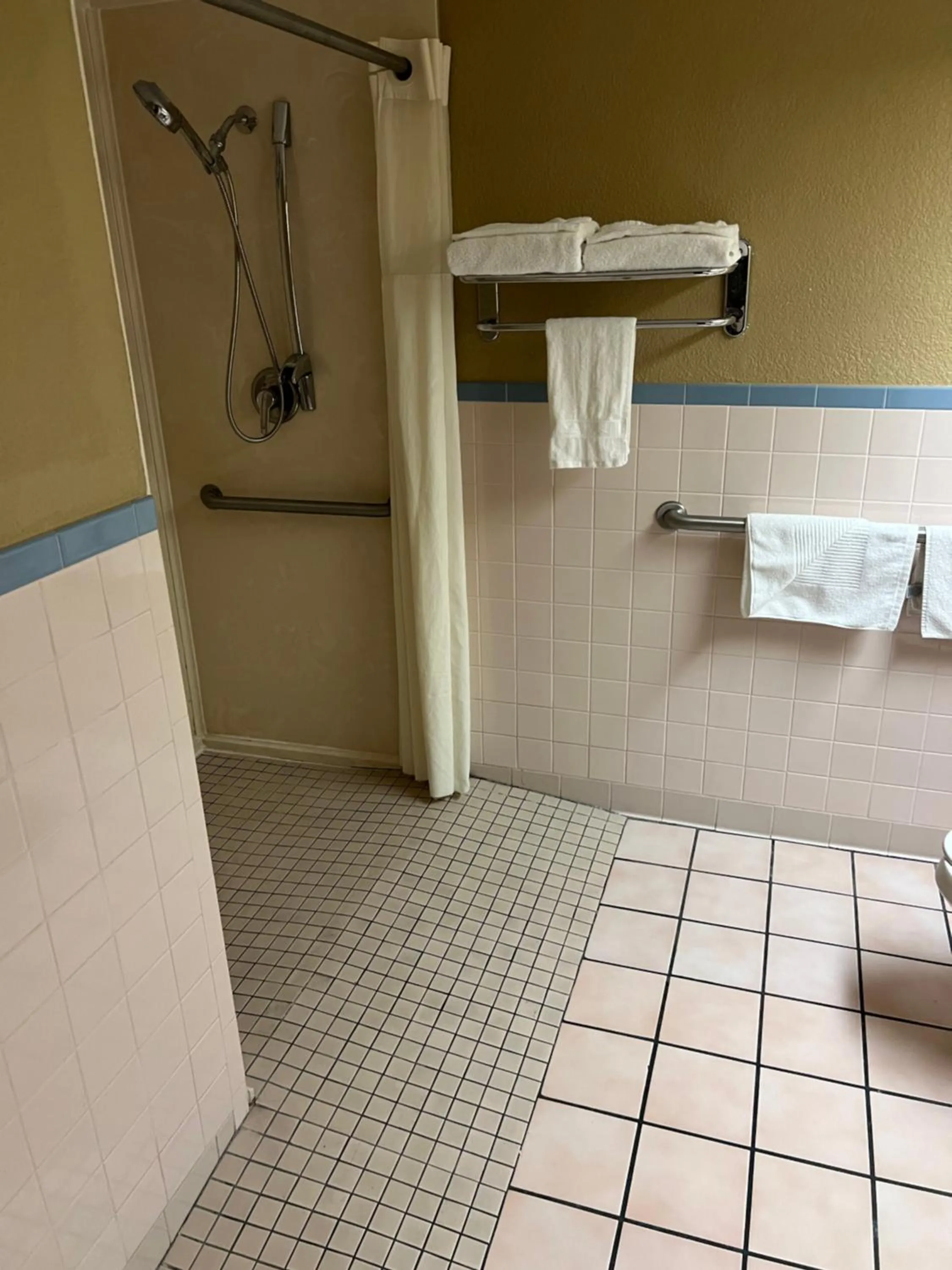 Shower in Americas Best Value Inn Pharr/McAllen